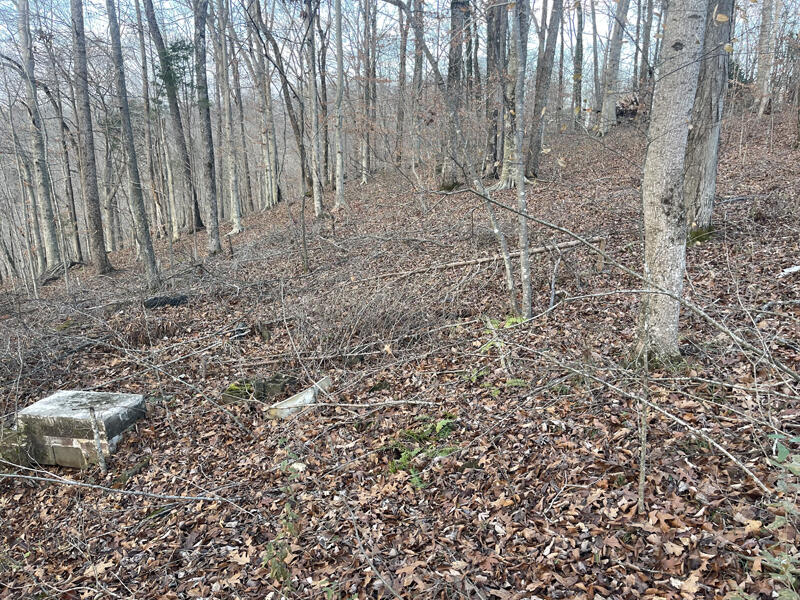 Lot 82 Pleasant View Property Photo 7
