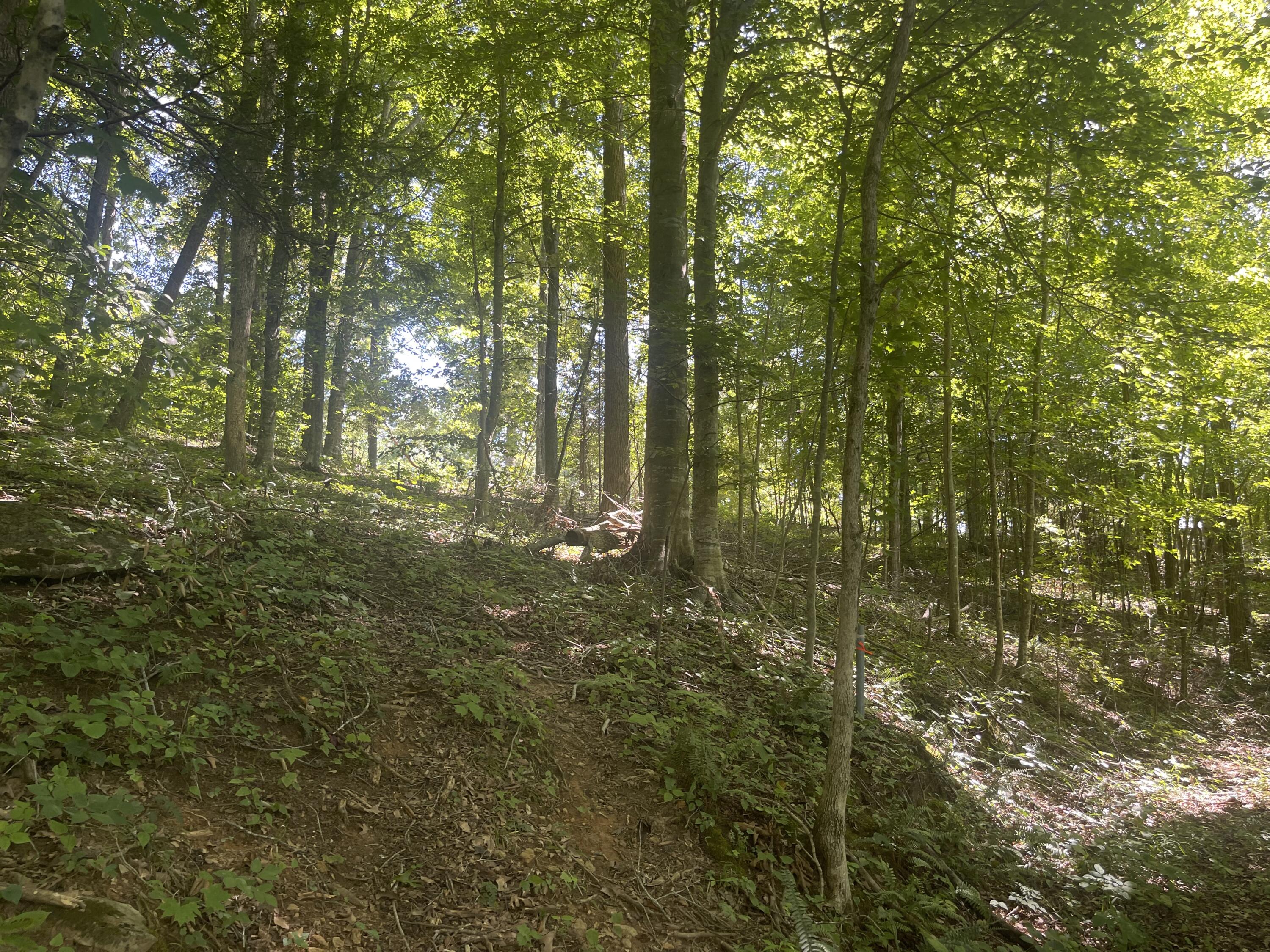 Lot 82 Pleasant View Property Photo 9