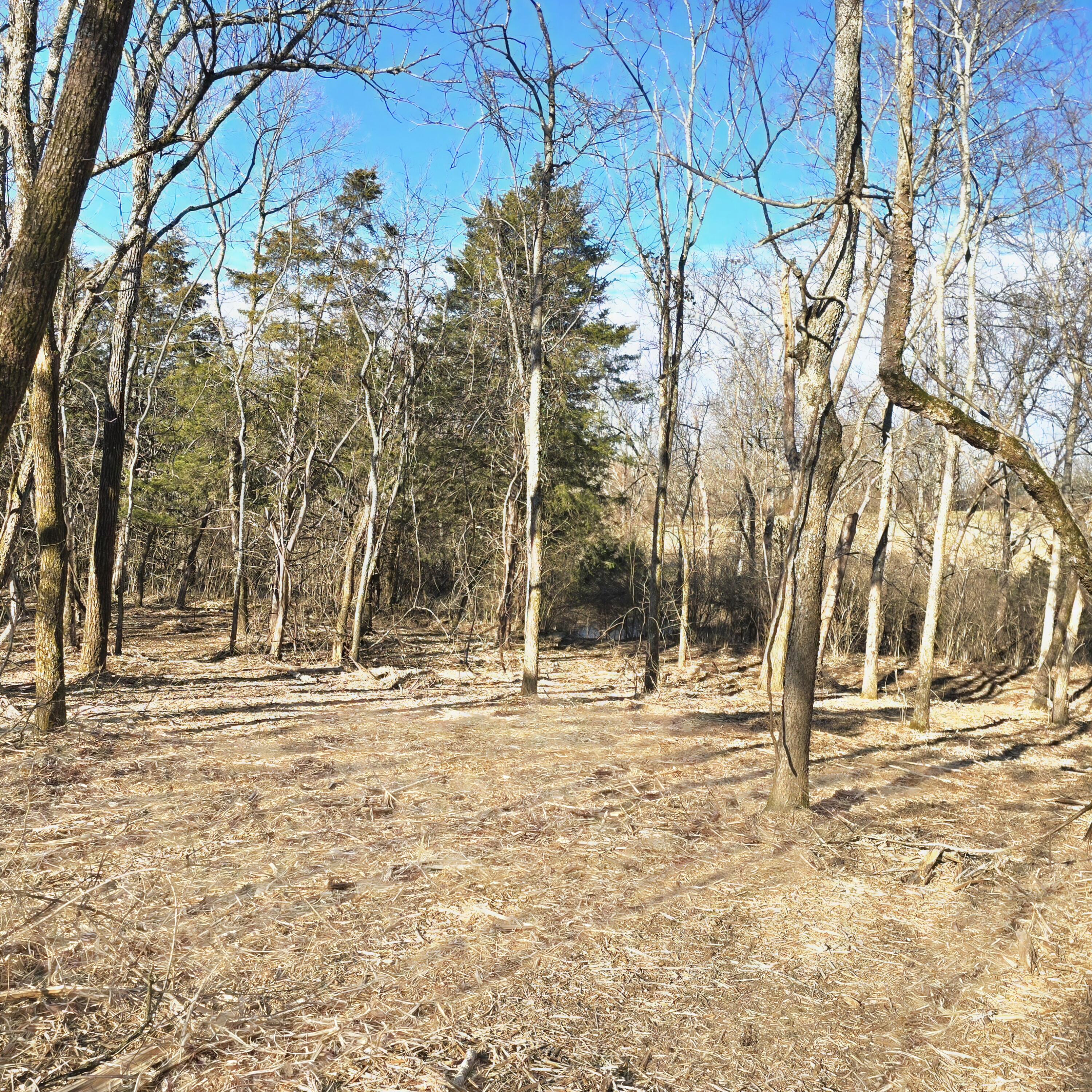 Tract 2 1720 Fort Bramlett Road Property Photo 1