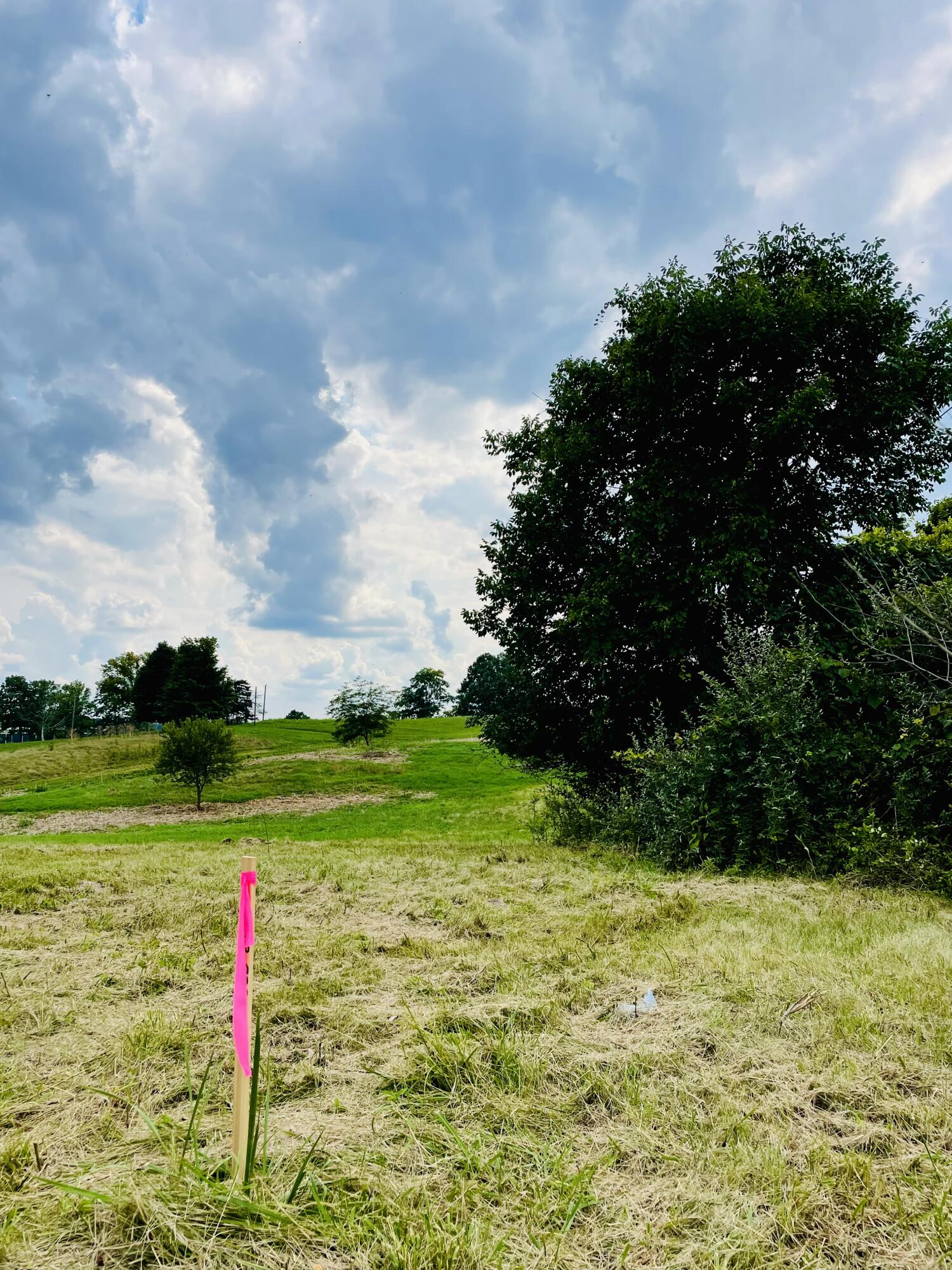 Lot 1 Akin Lane Estates Property Photo