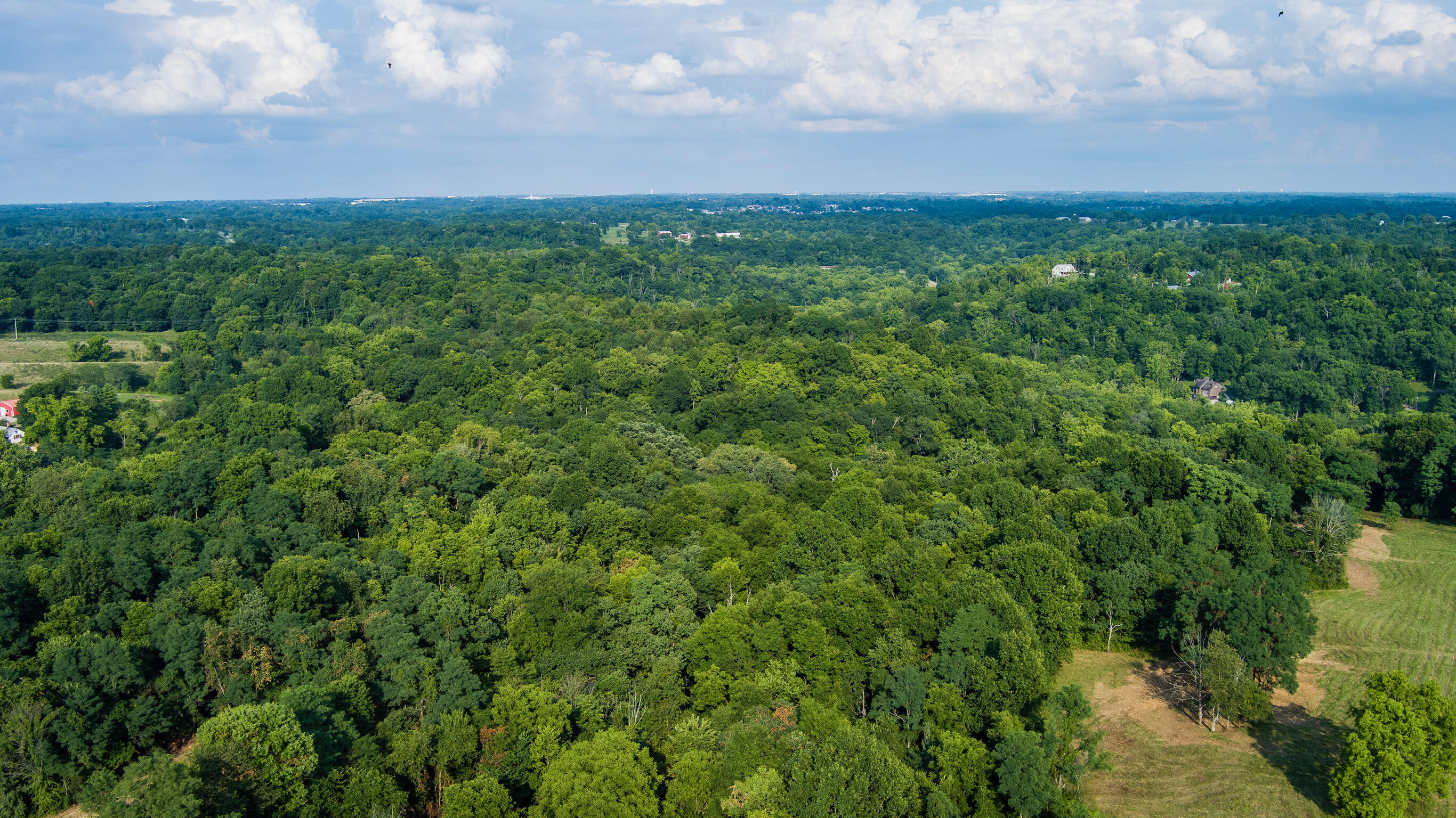 Lot 6 Akin Lane Estates Property Photo