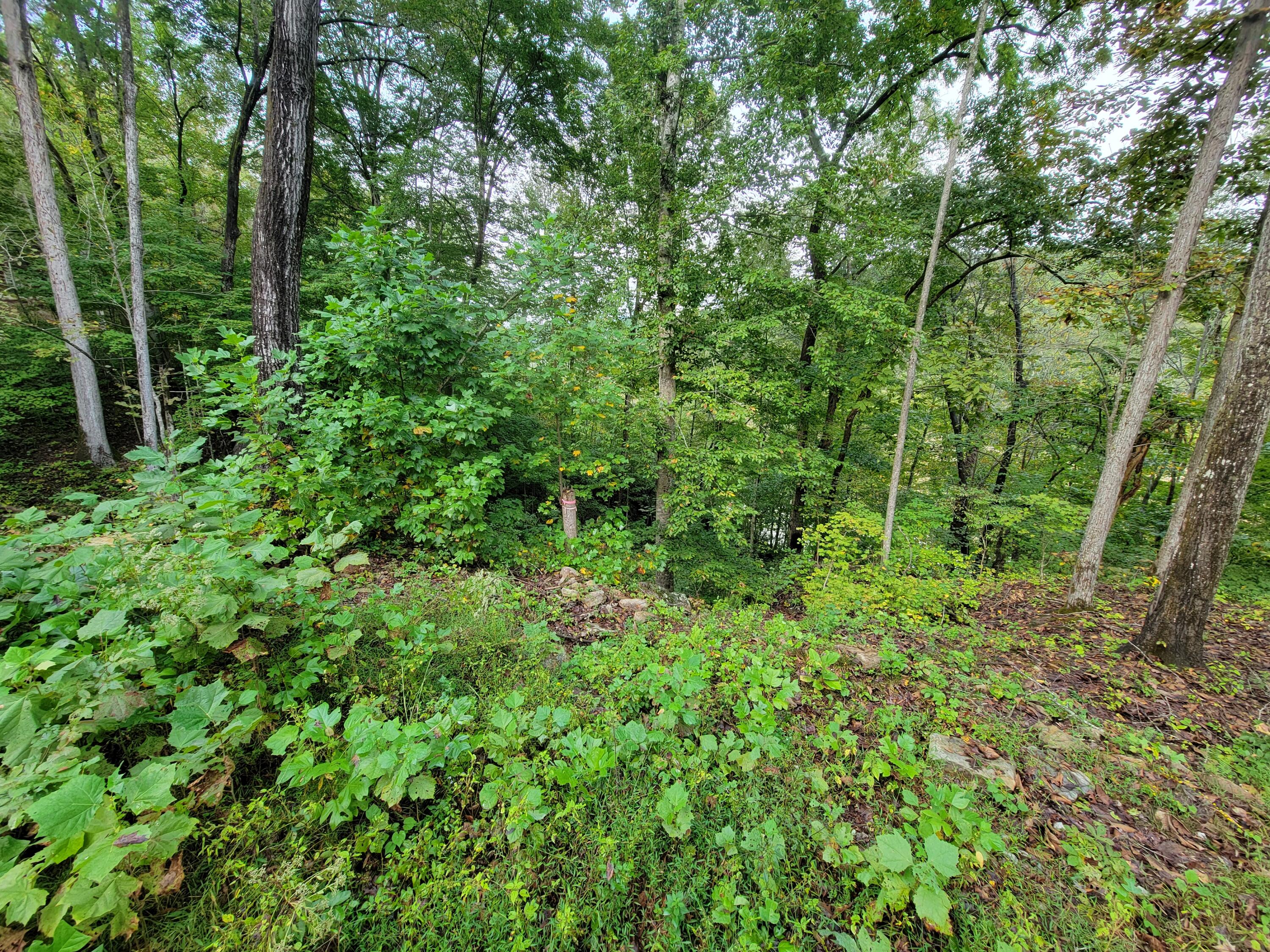150 Punchs End Property Photo 4