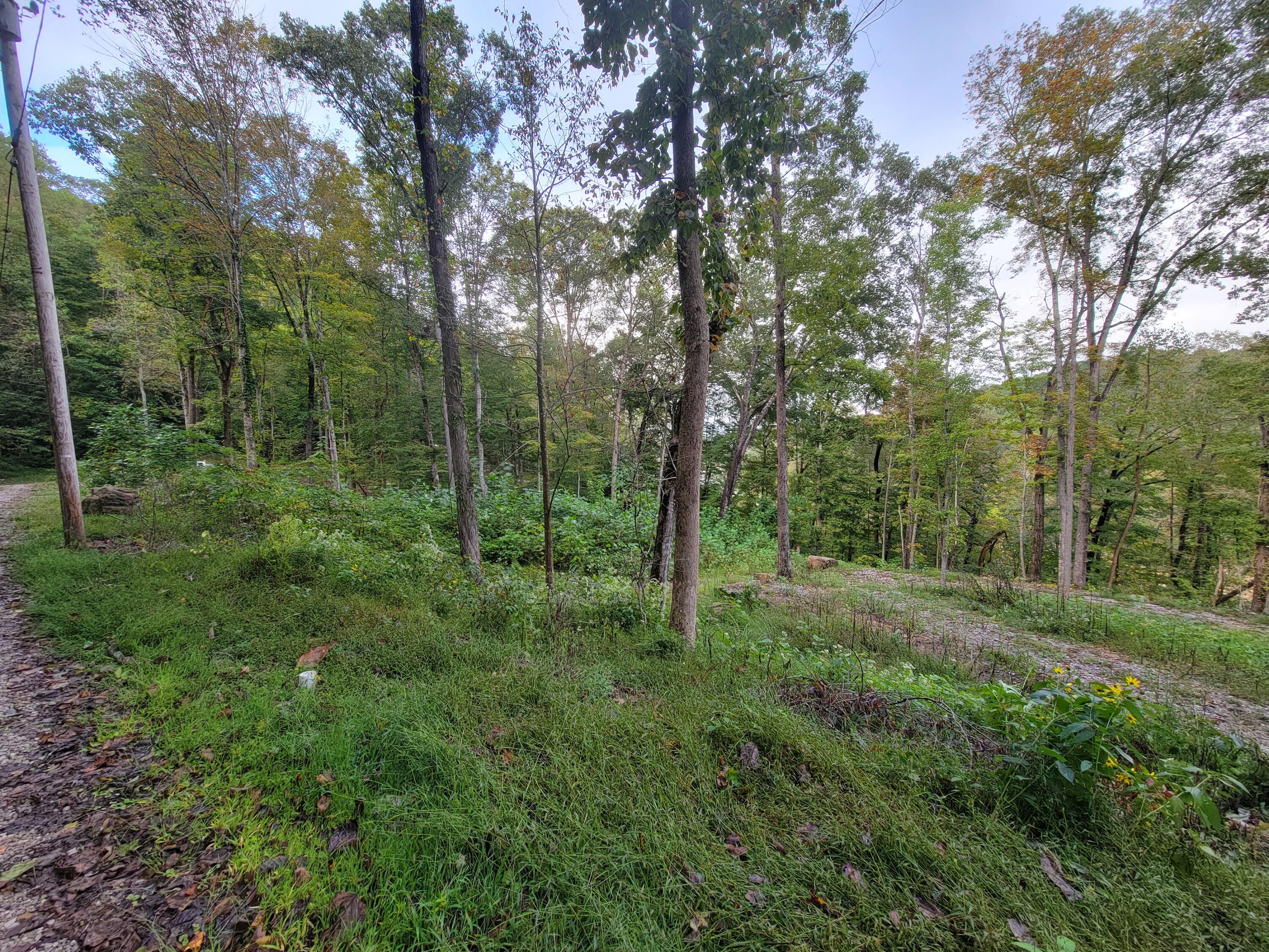 150 Punchs End Property Photo 6