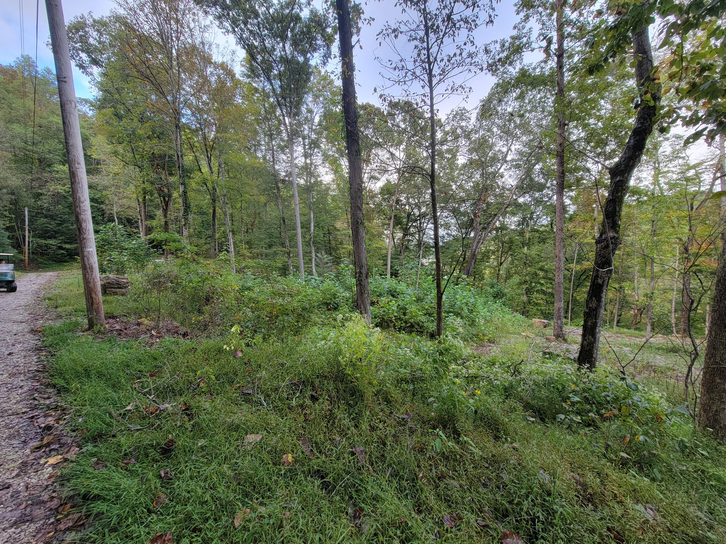 150 Punchs End Property Photo 7