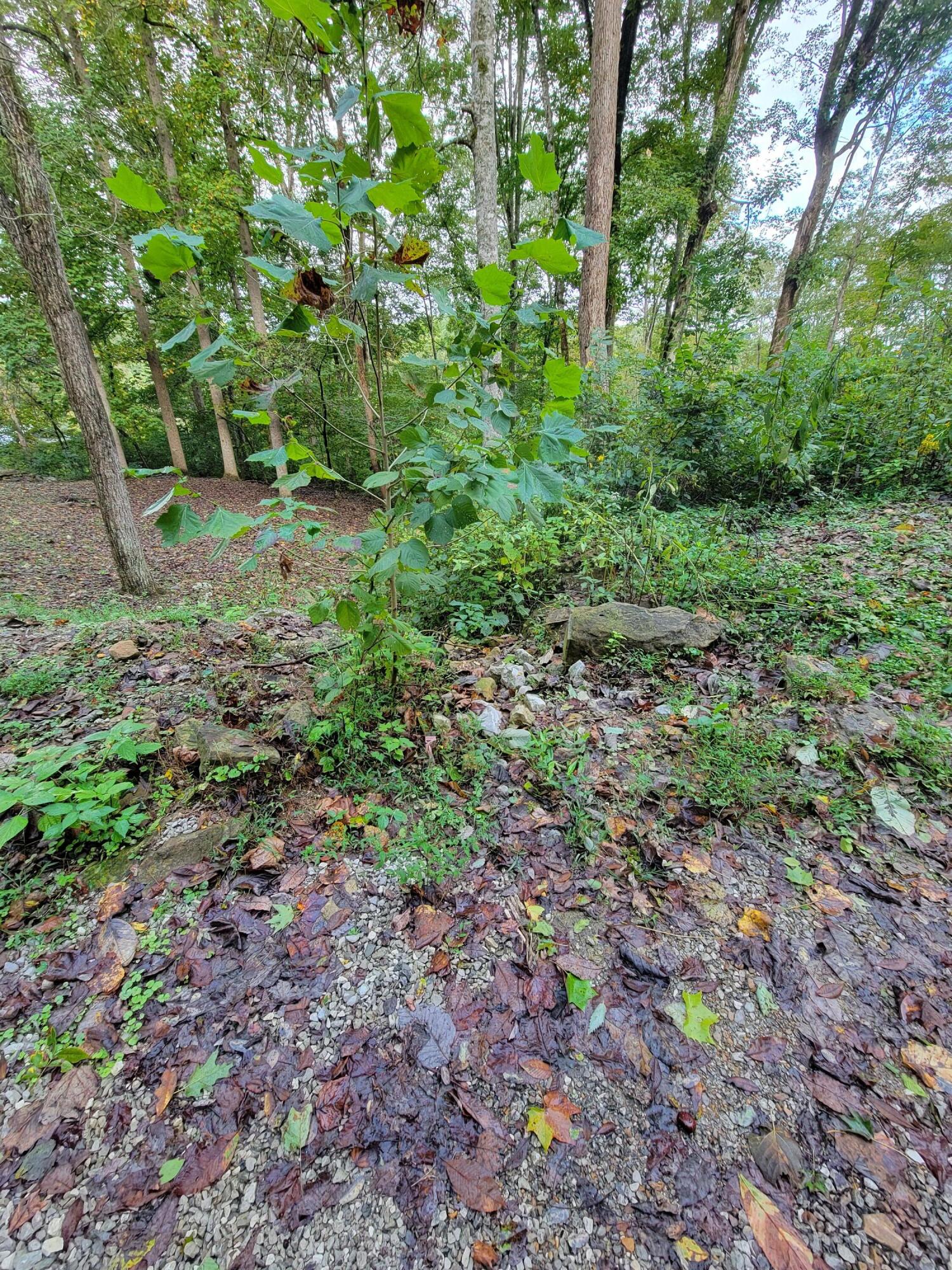 150 Punchs End Property Photo 10