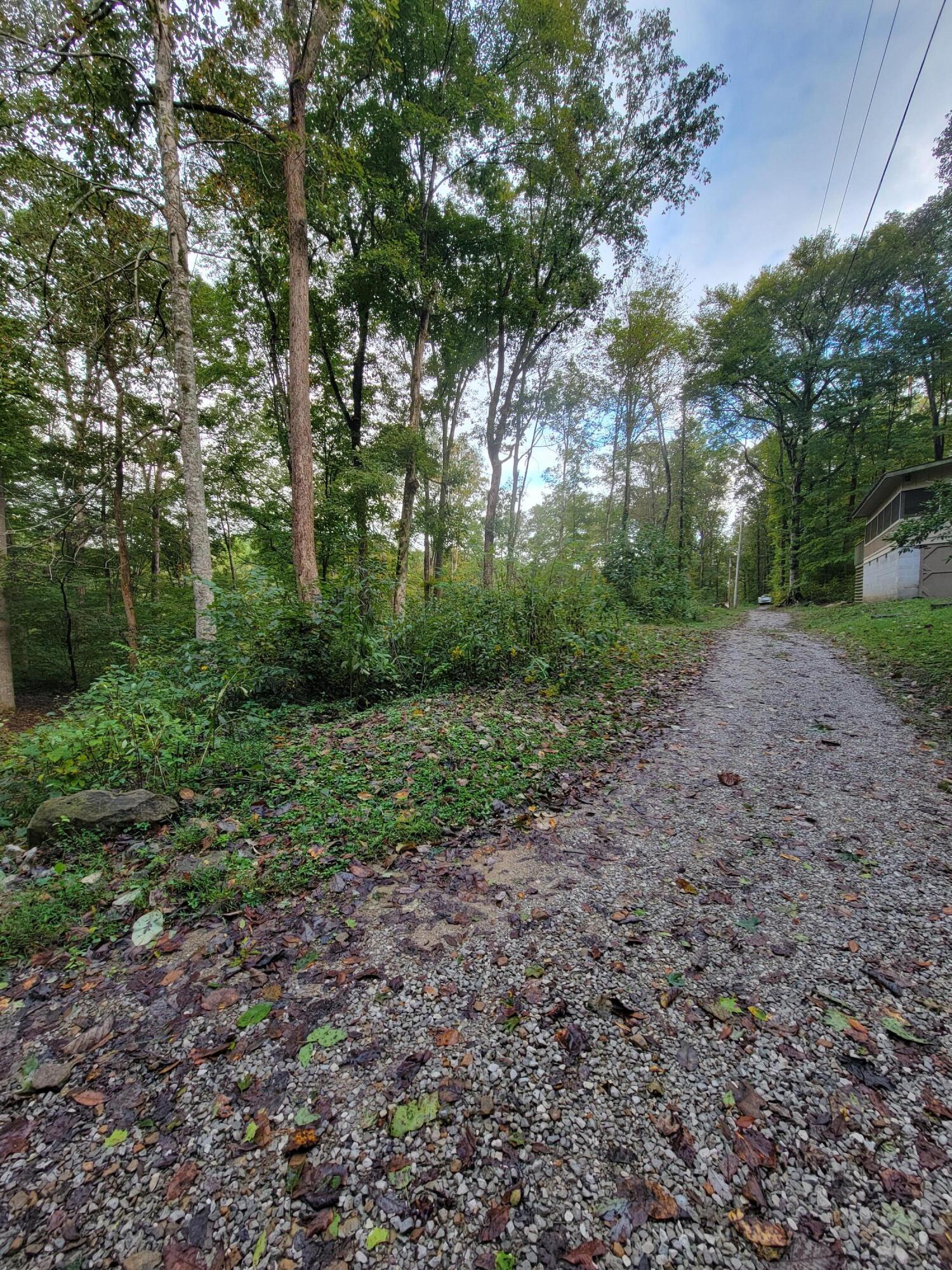 150 Punchs End Property Photo 11