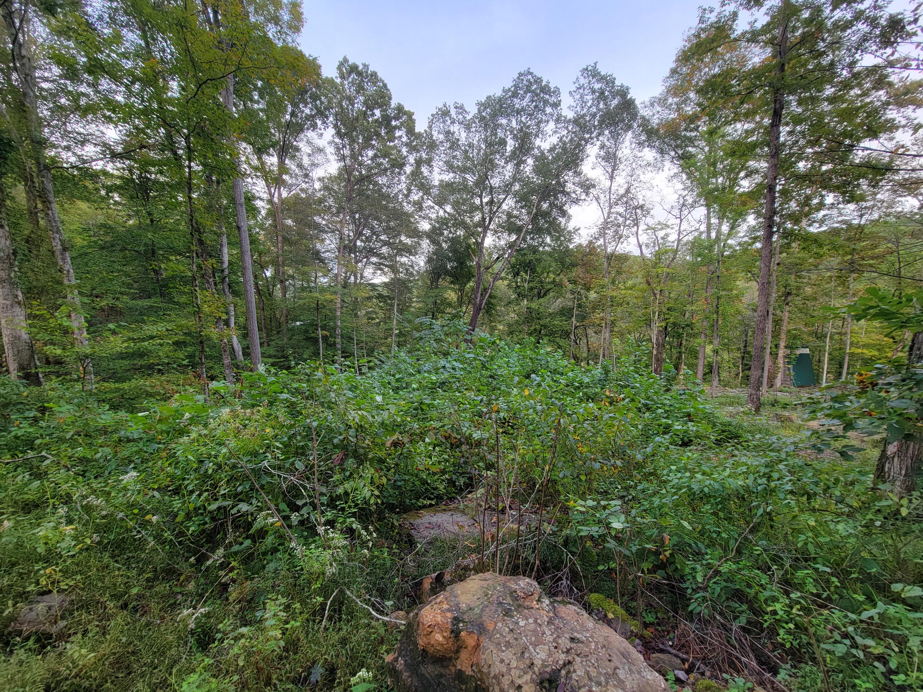 150 Punchs End Property Photo 12