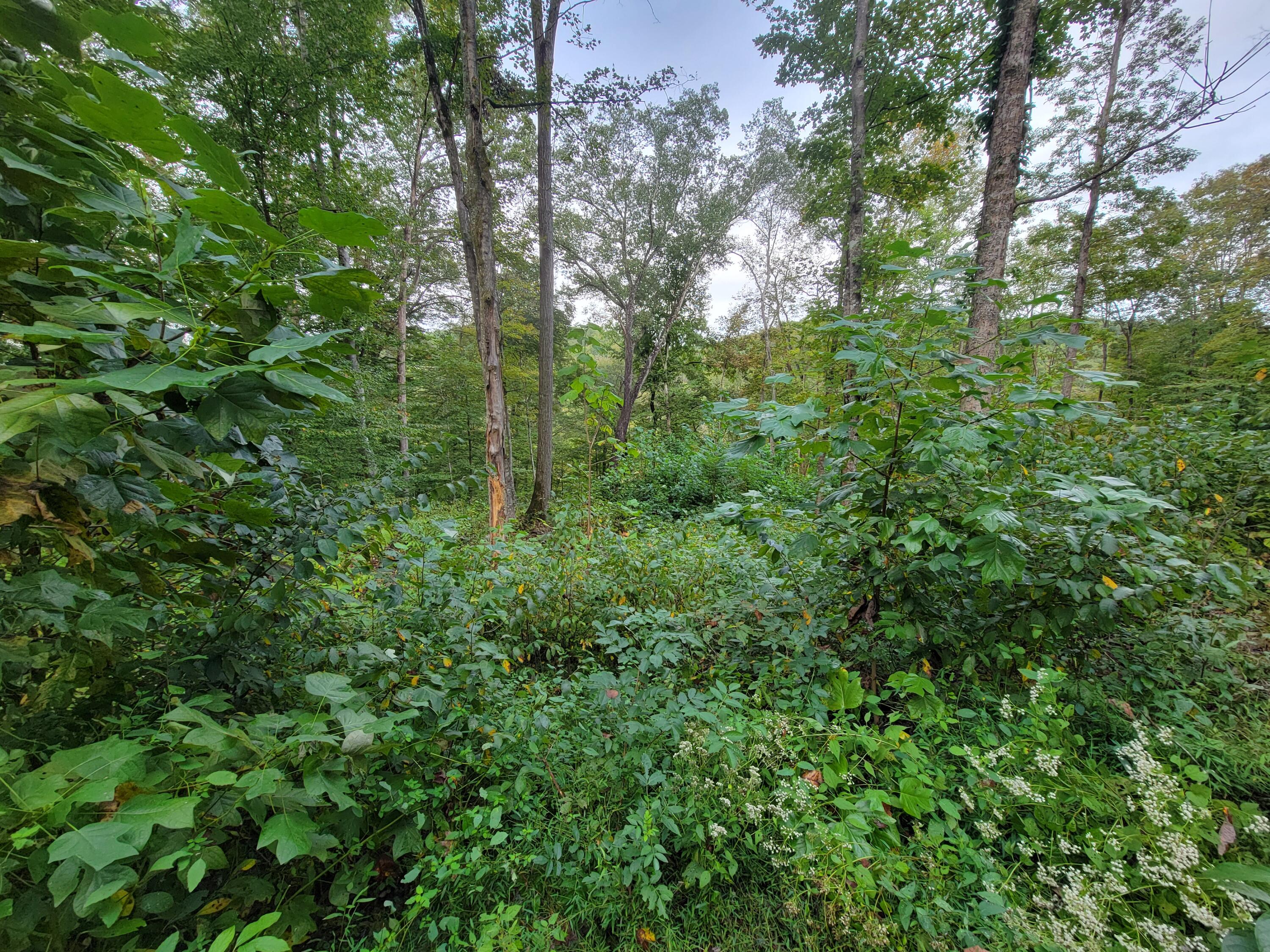 150 Punchs End Property Photo 13