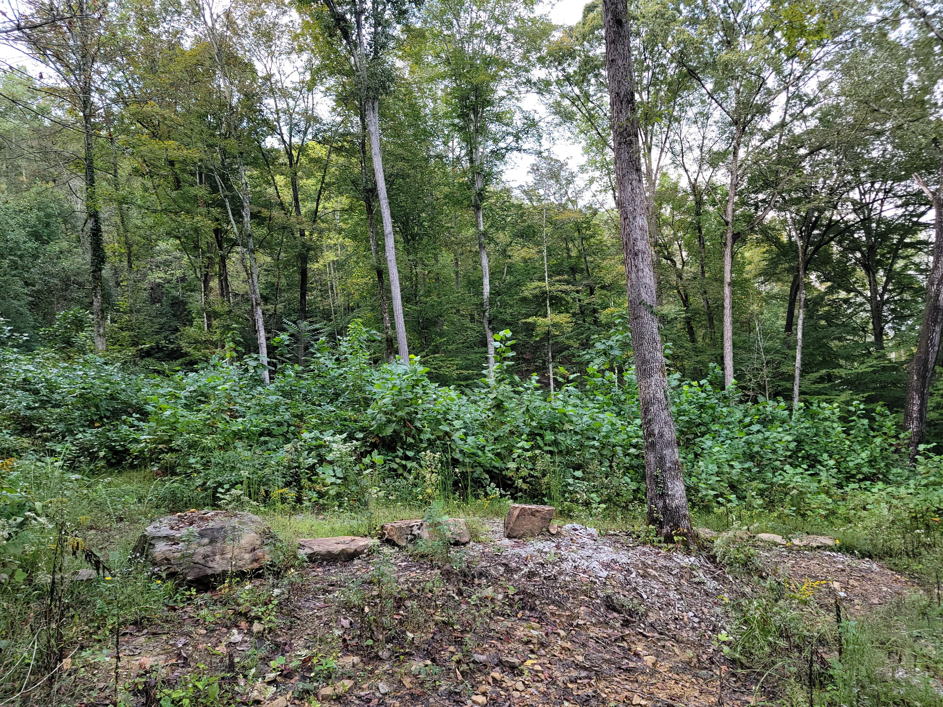 150 Punchs End Property Photo 15