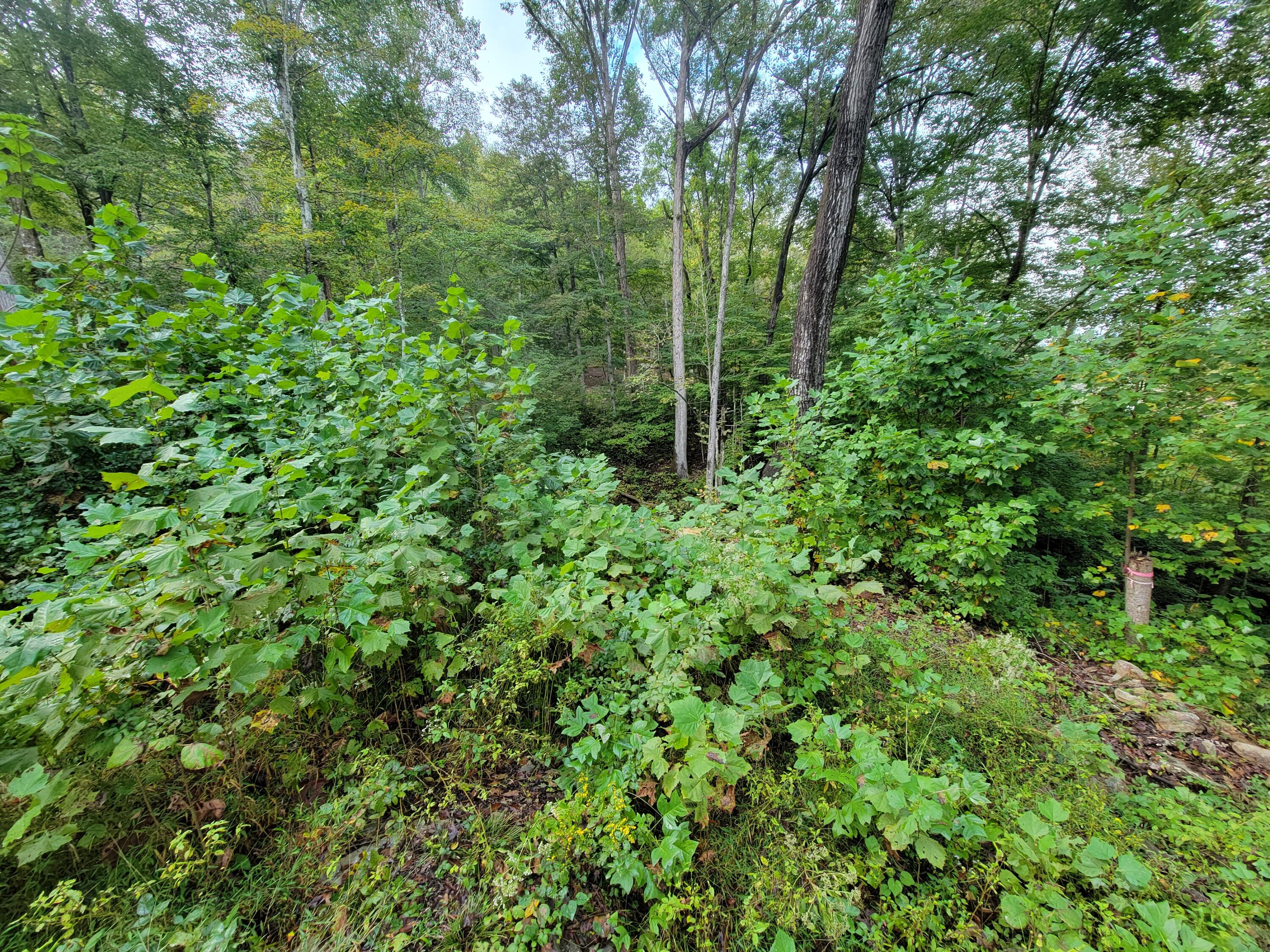 150 Punchs End Property Photo 16