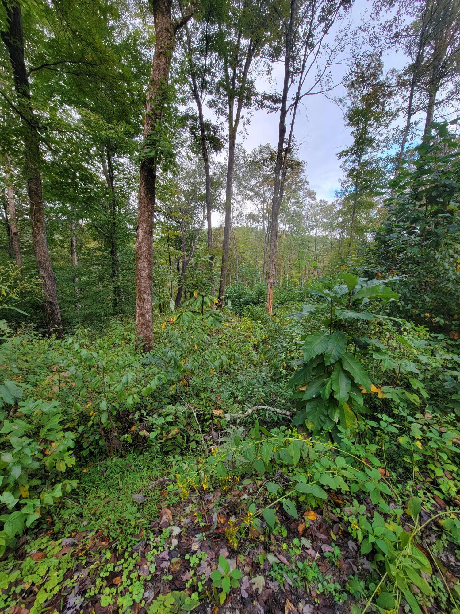 150 Punchs End Property Photo 17