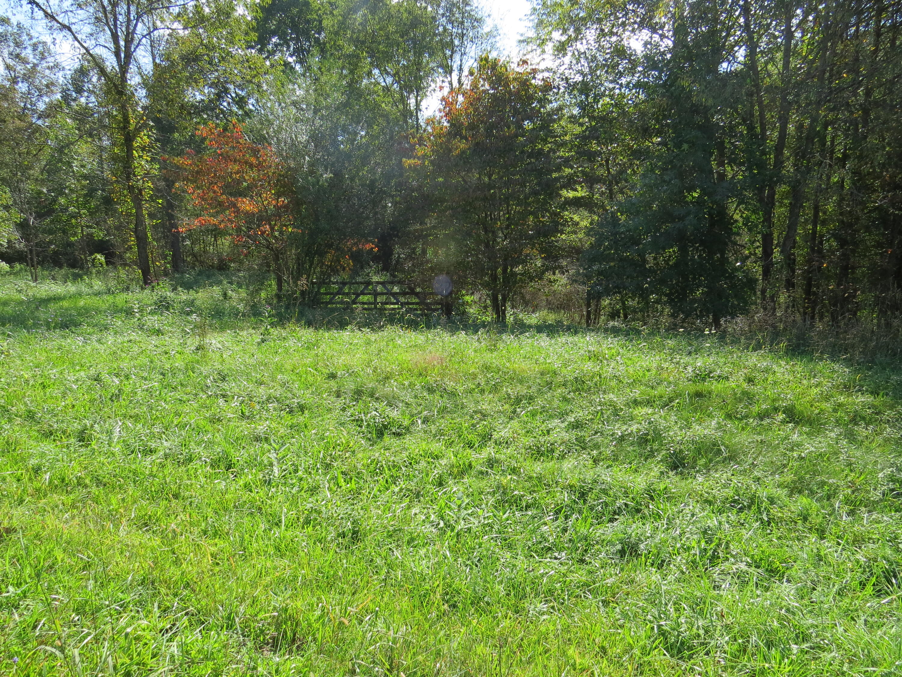 0 N Ky 25e Property Photo 2