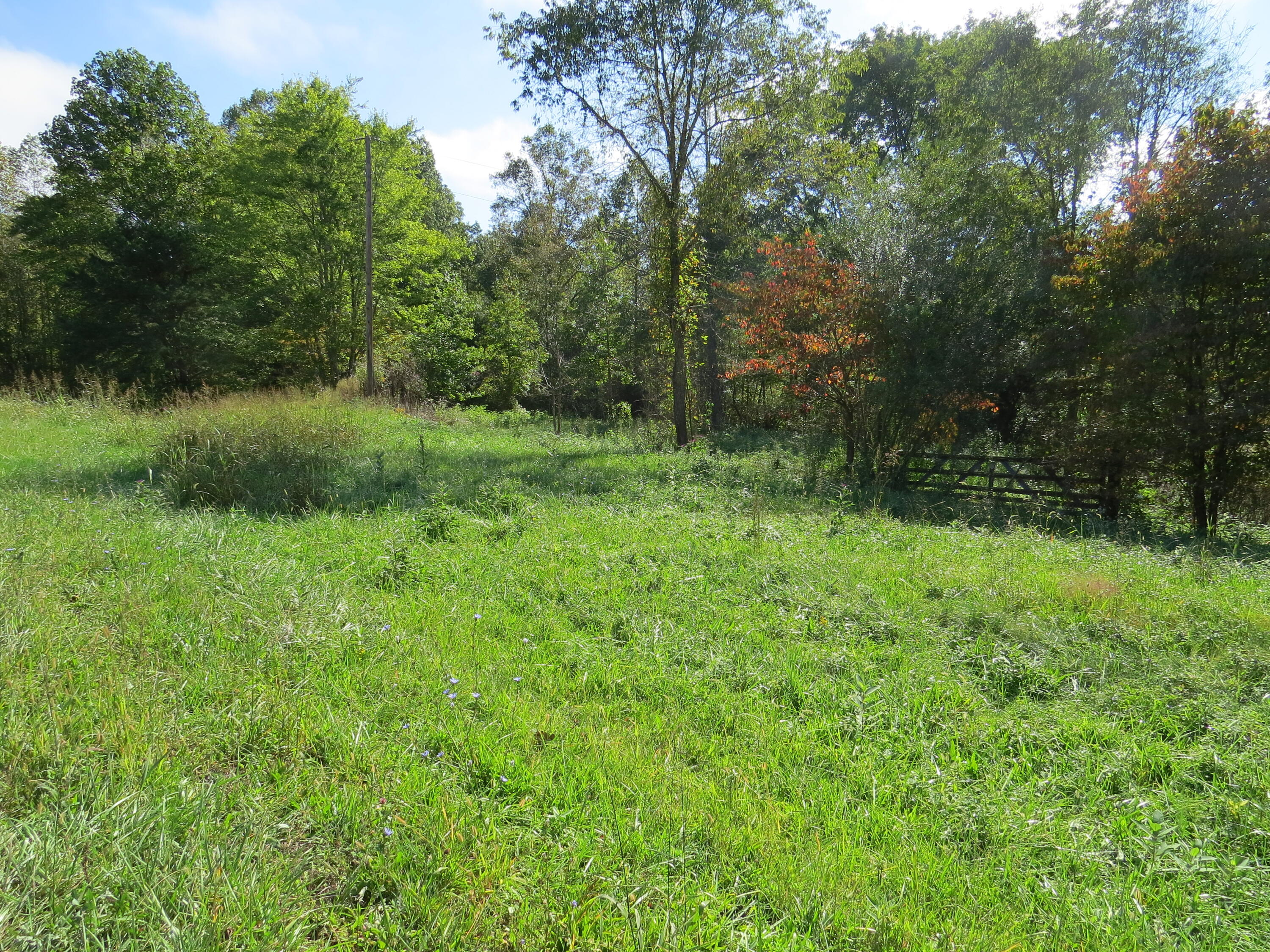 0 N Ky 25e Property Photo 3