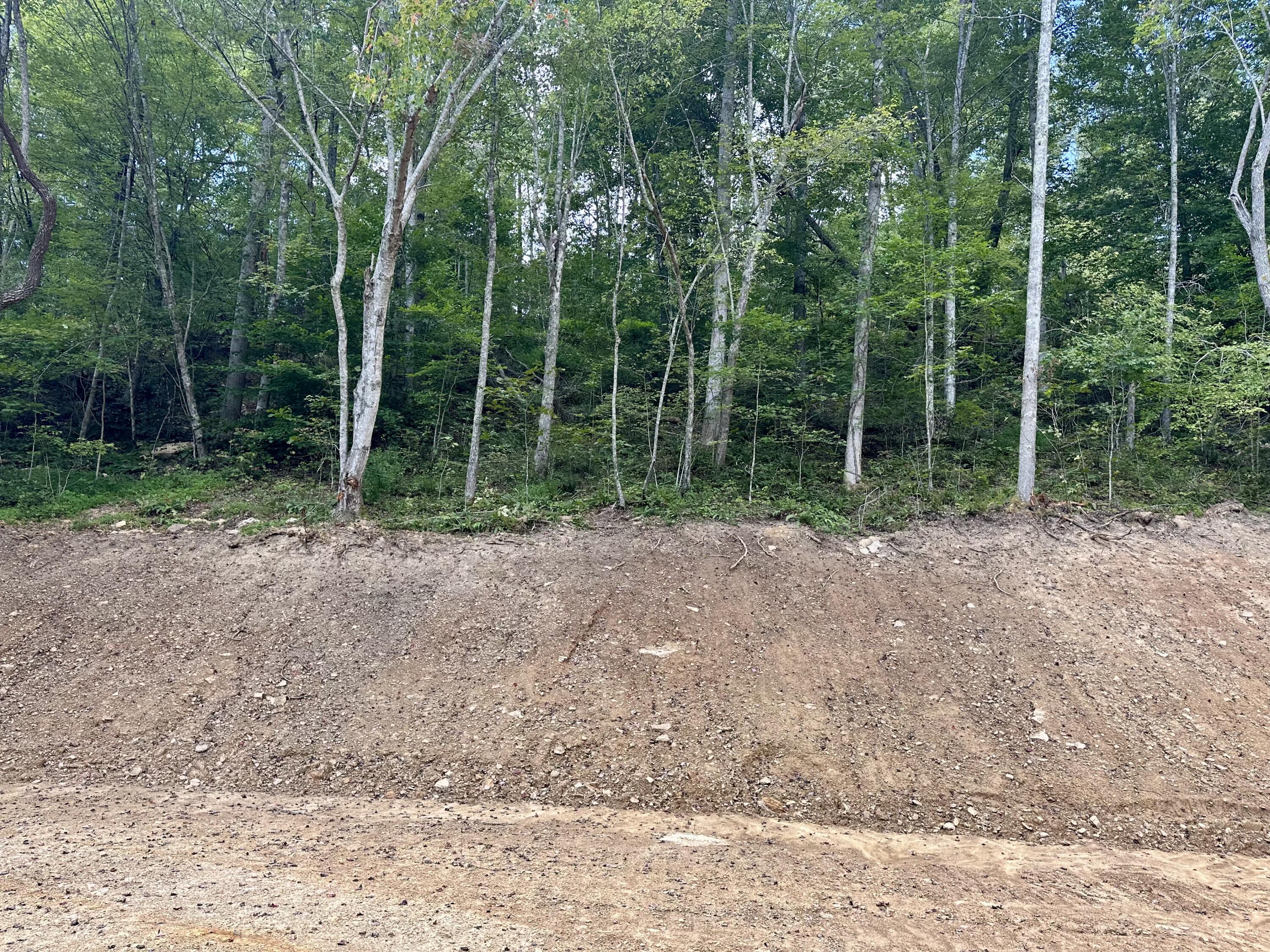 424-tract 5 W 577 Highway Property Photo 9