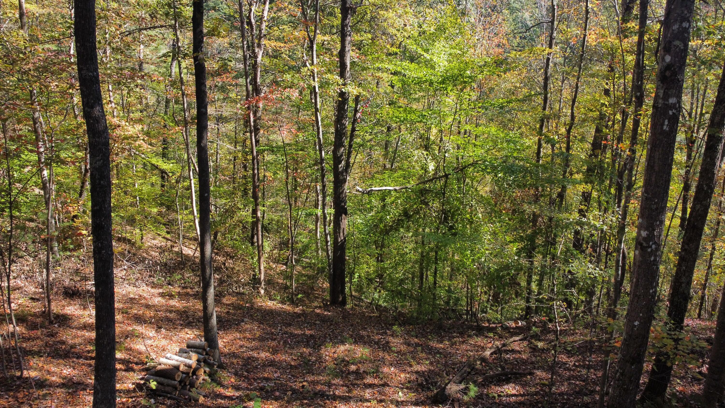 Lot #51 The Reserve At Cliffview Property Photo 2