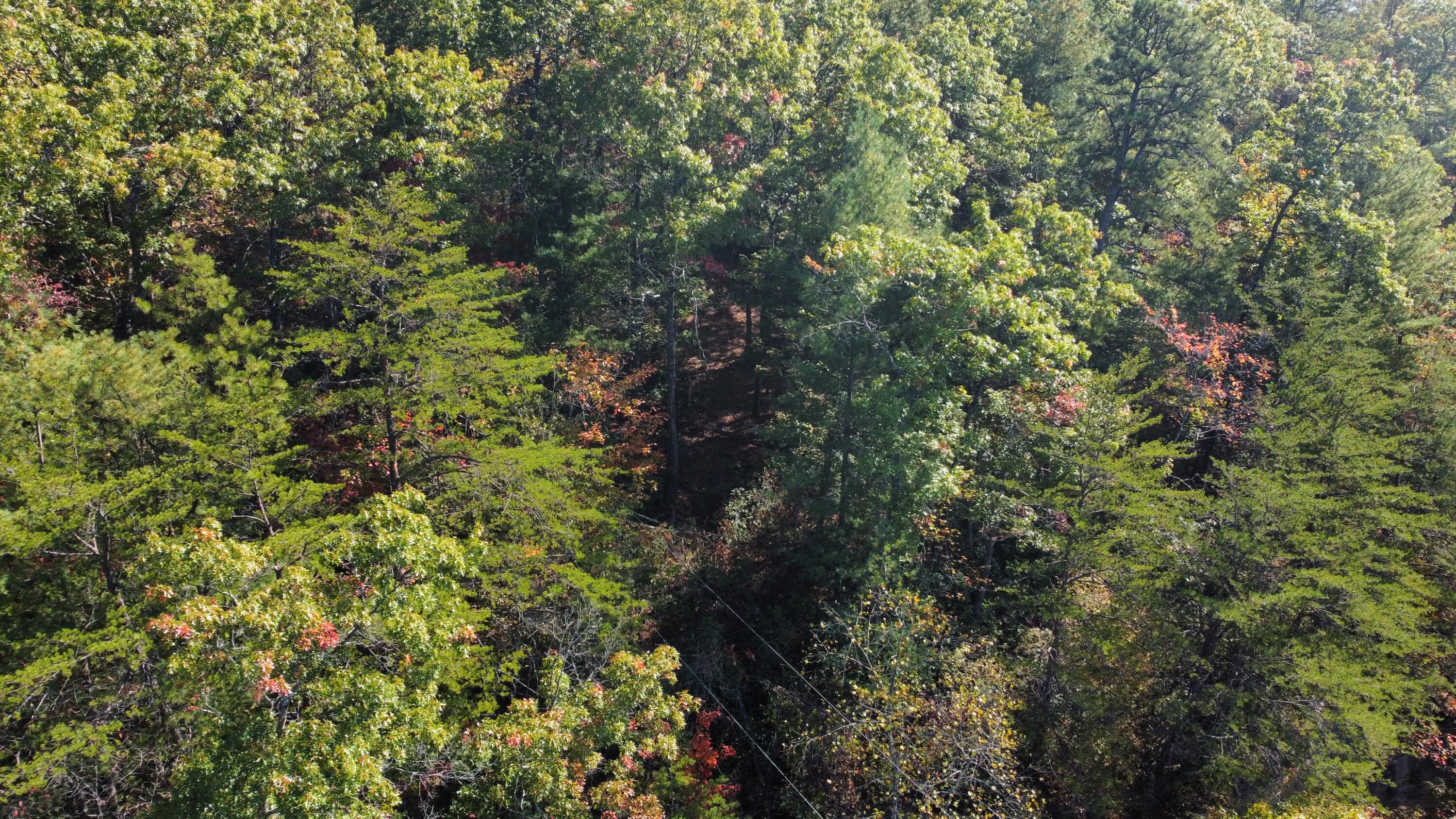 Lot #47 The Reserve At Cliffview Property Photo 6