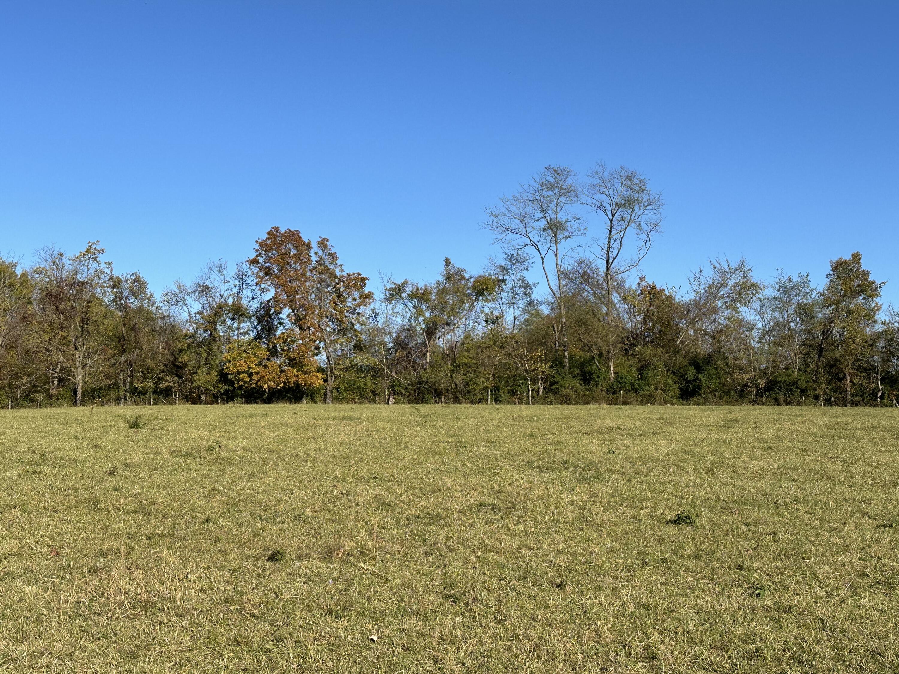 3725 Cynthiana Road Property Photo 2