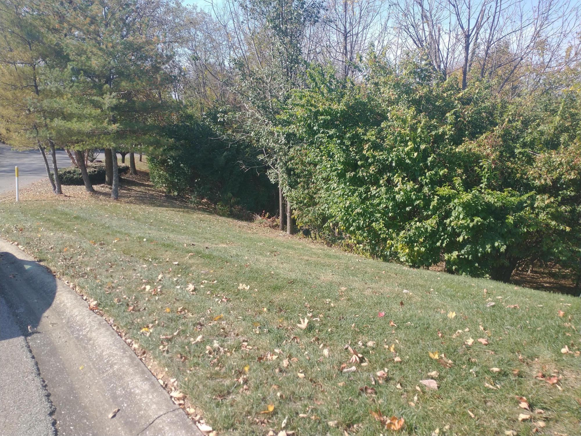 102 Augusta Drive Property Photo 2