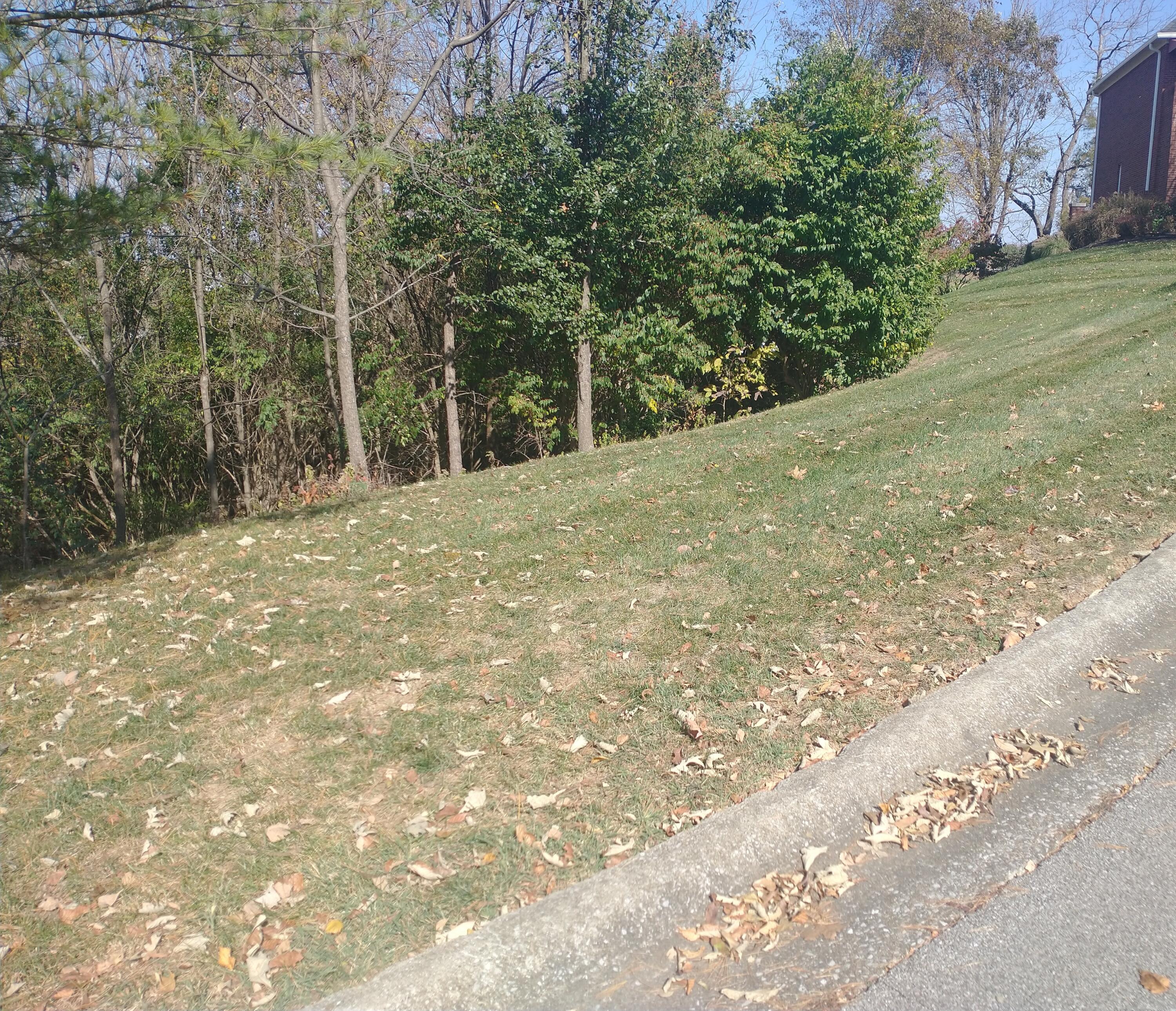 102 Augusta Drive Property Photo 3