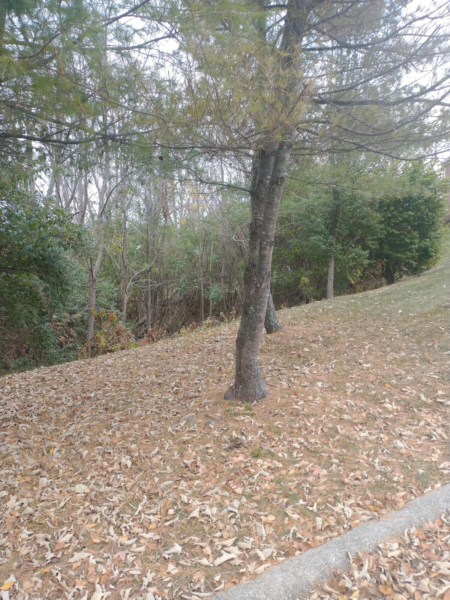 102 Augusta Drive Property Photo 4