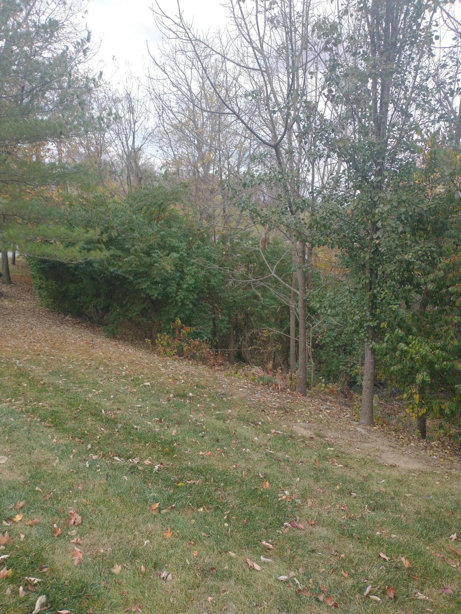 102 Augusta Drive Property Photo 5