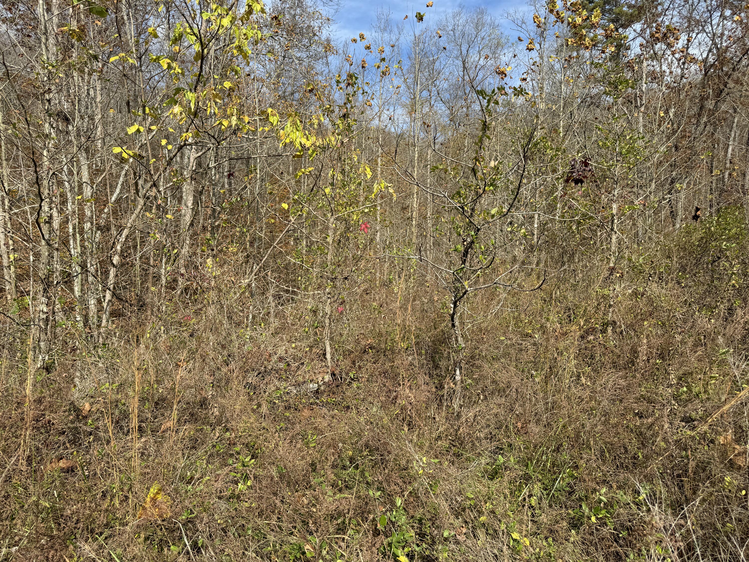 0 Maple Creek Road Property Photo 6