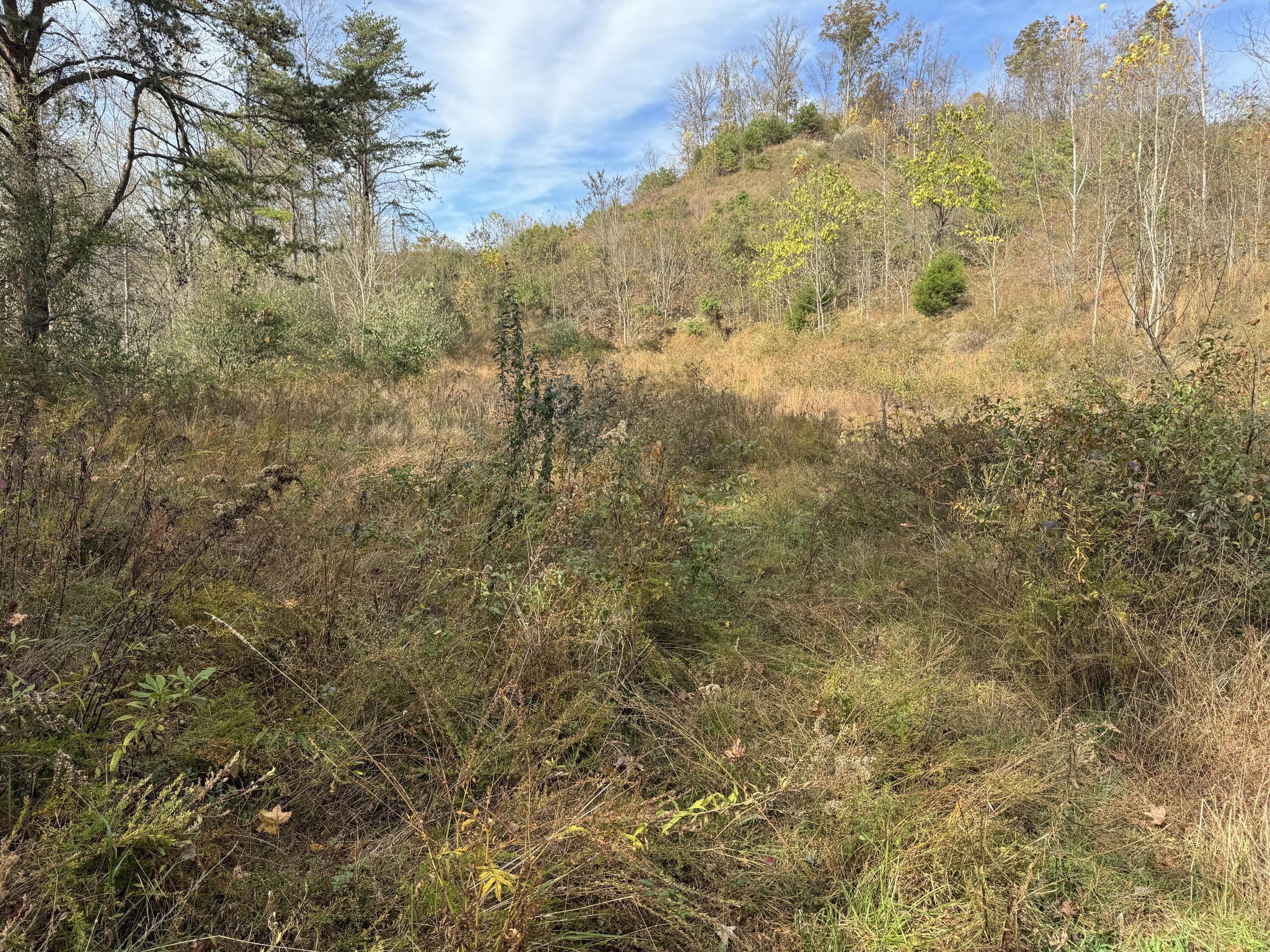 0 Maple Creek Road Property Photo 19