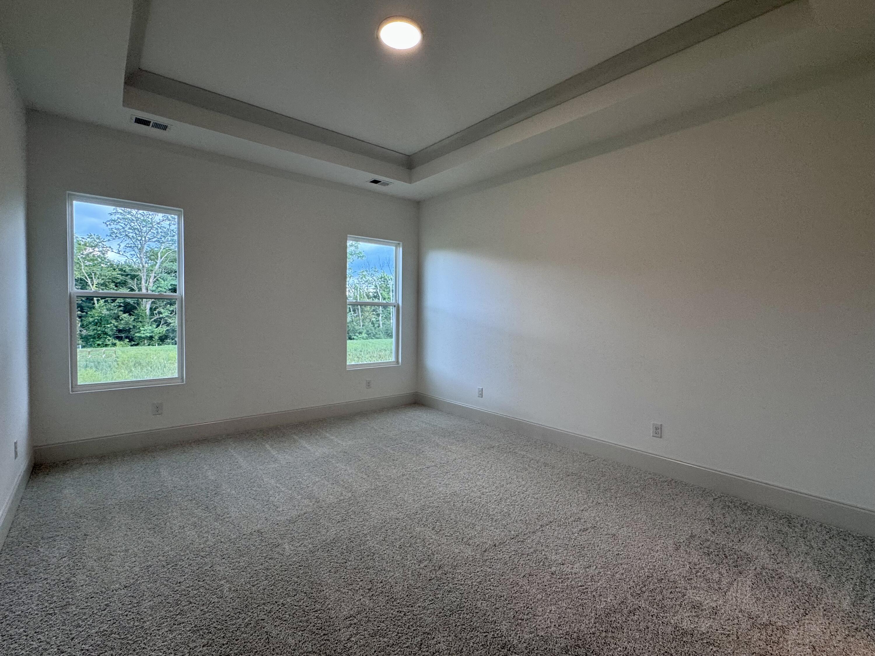 166 Ruth Miller Drive Property Photo 10