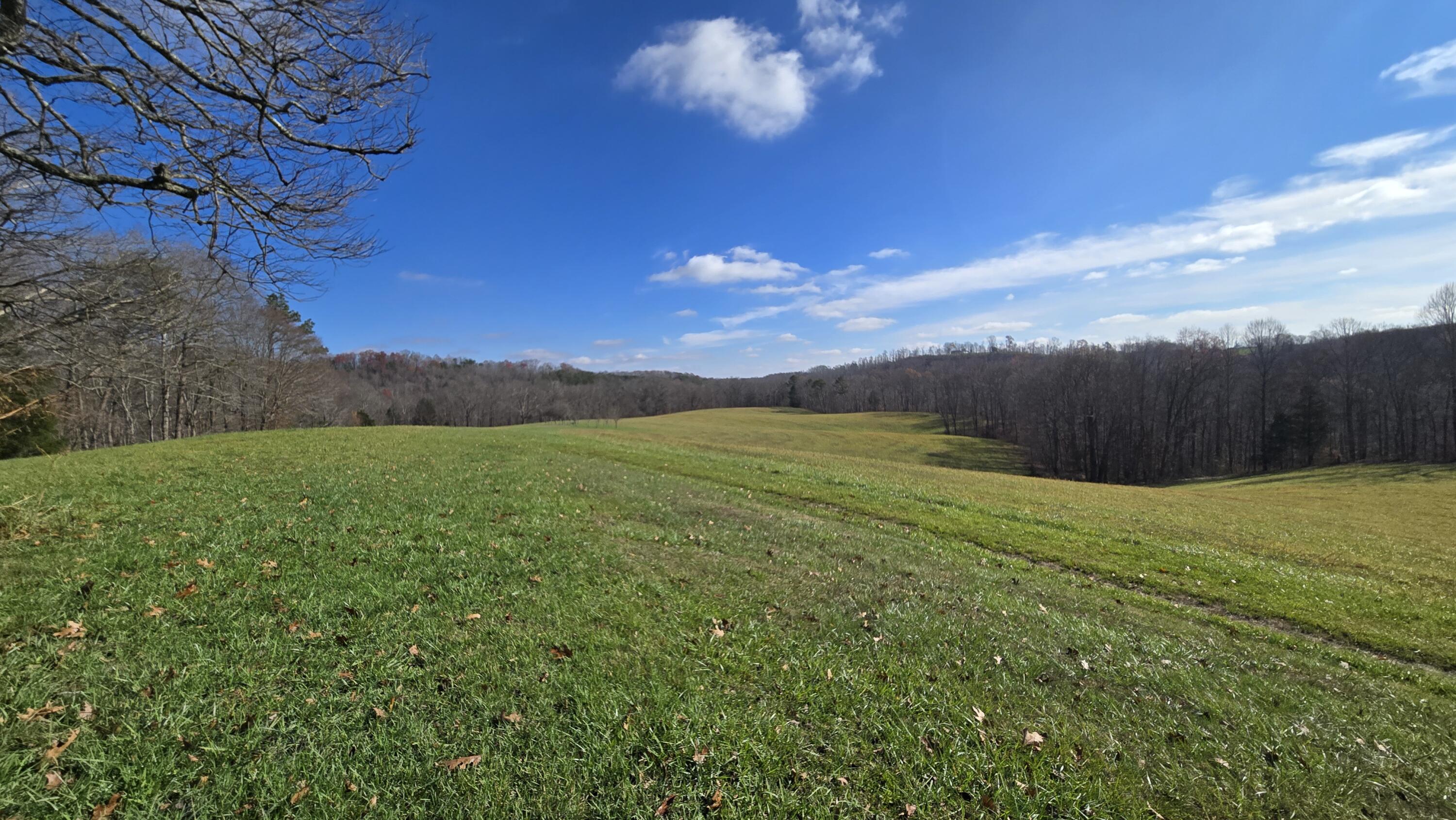 225 Hilltop Road Property Photo 47