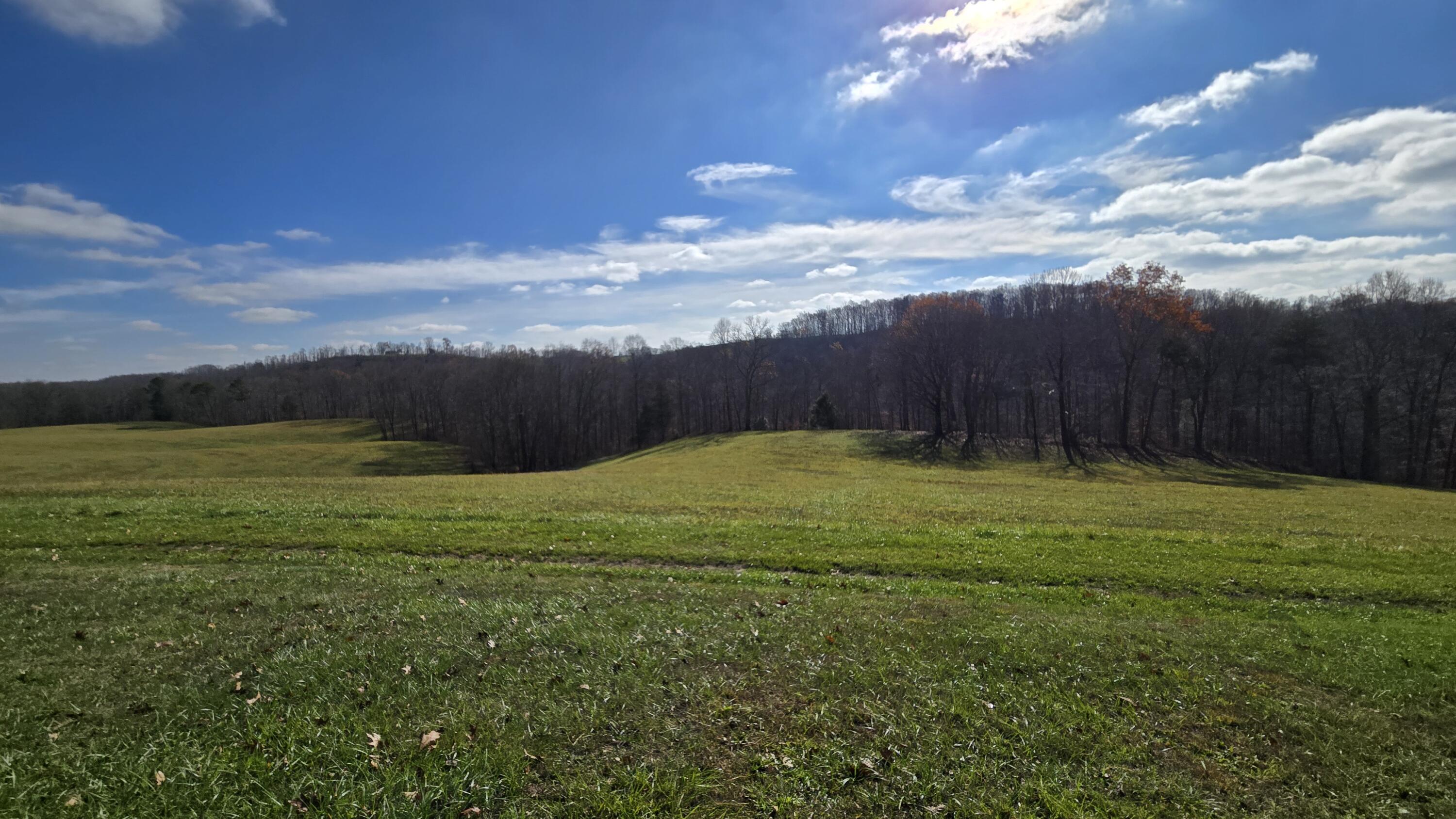 225 Hilltop Road Property Photo 76