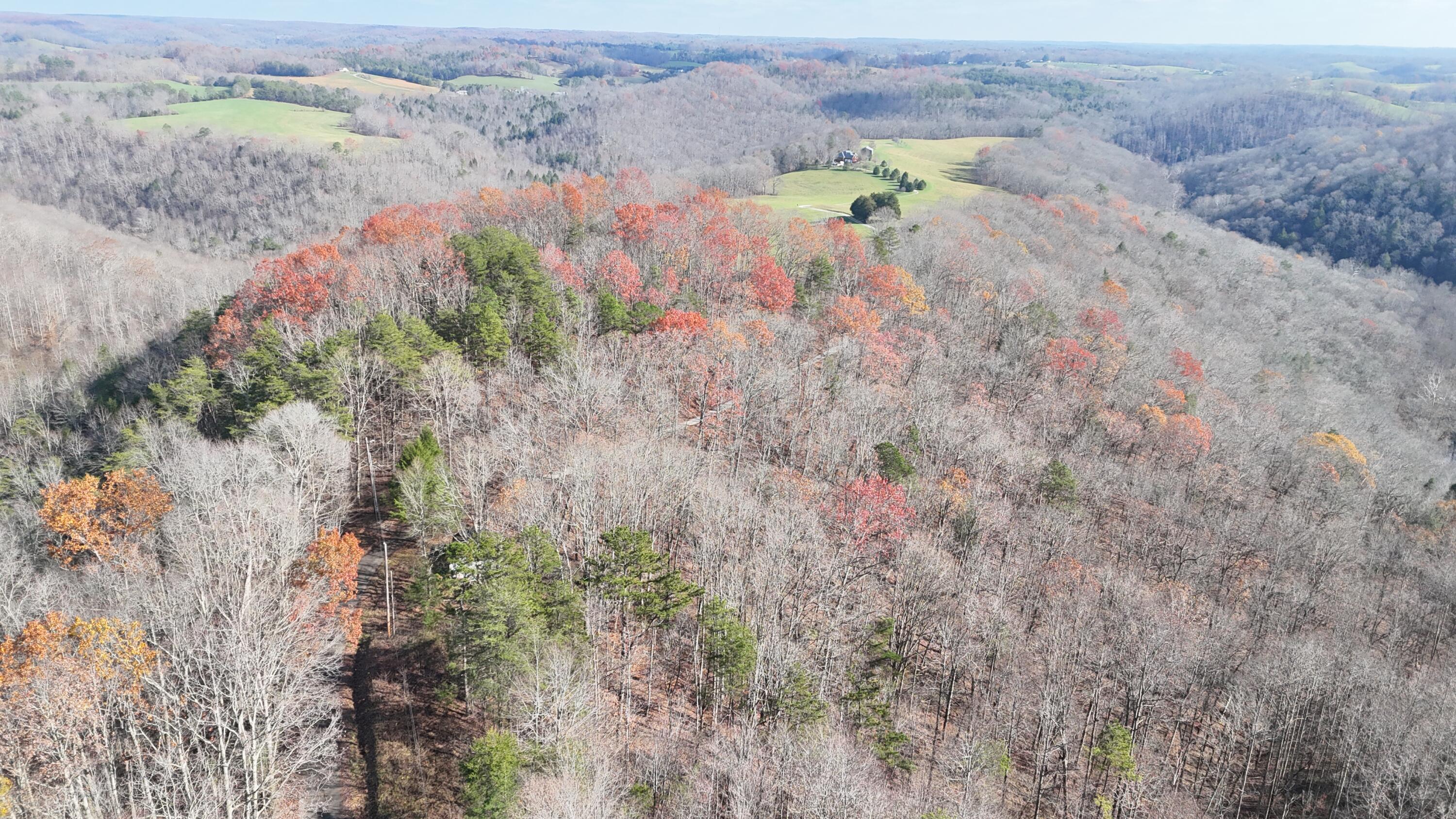 225 Hilltop Road Property Photo 85