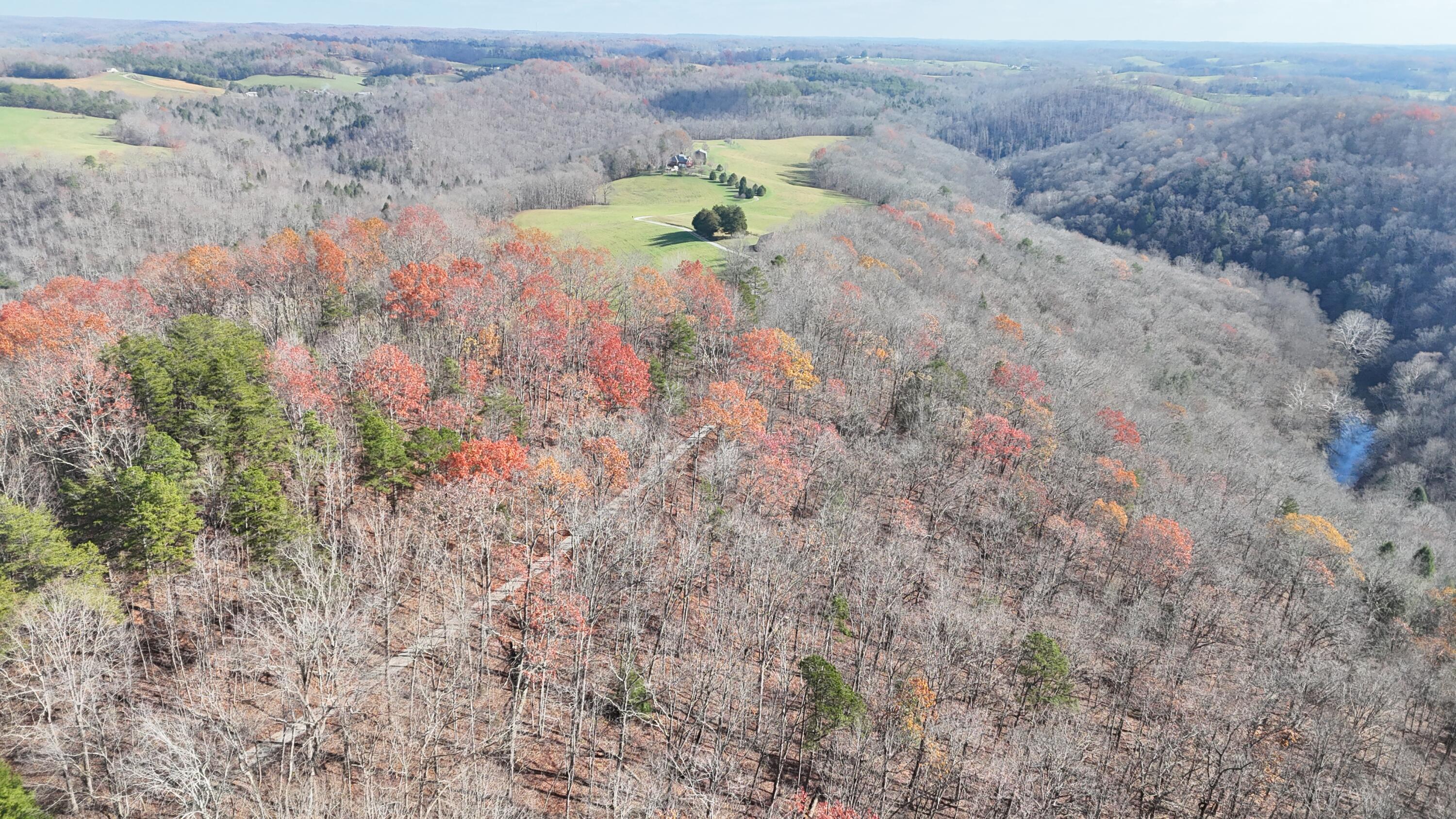225 Hilltop Road Property Photo 86