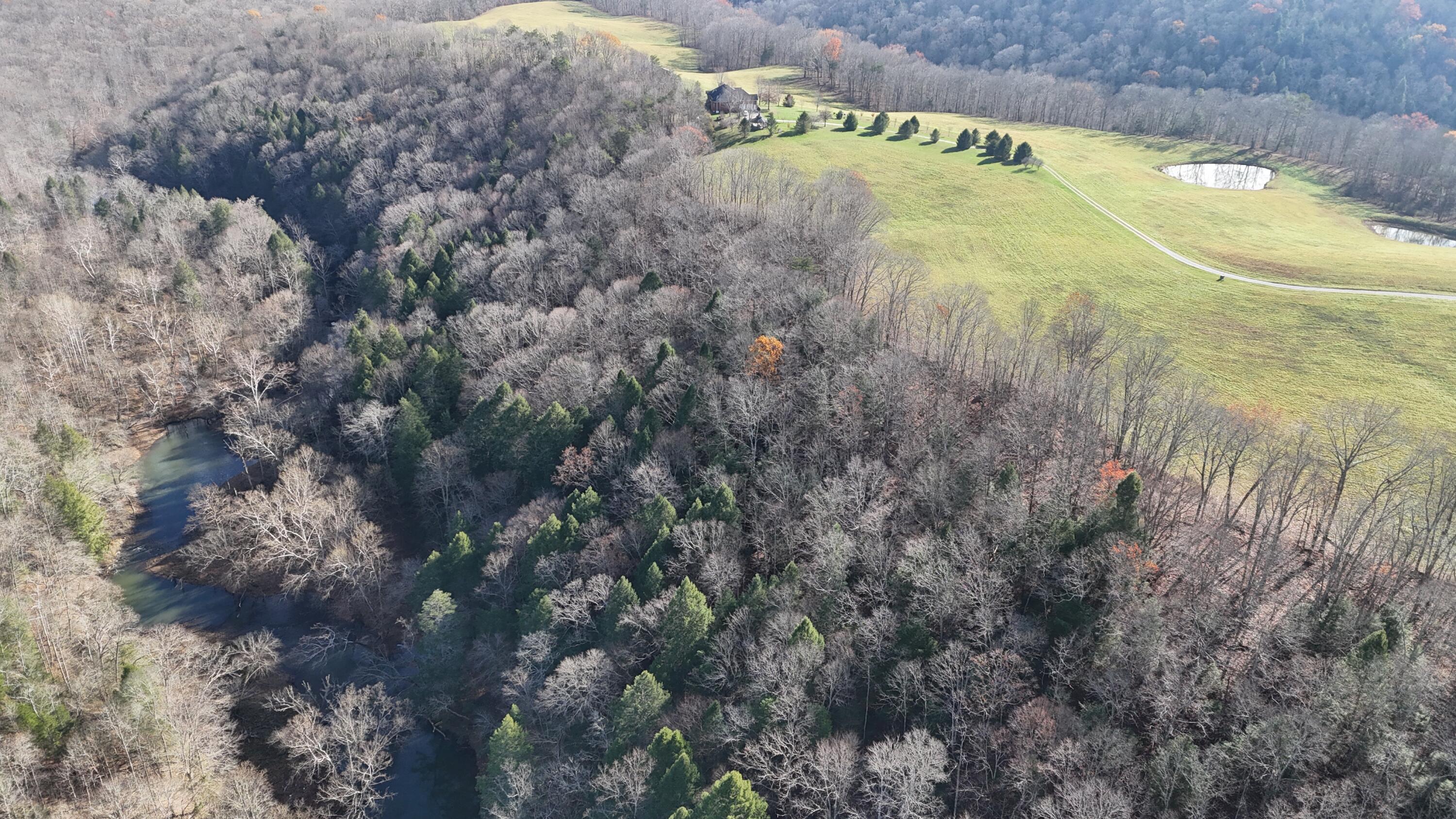 225 Hilltop Road Property Photo 89