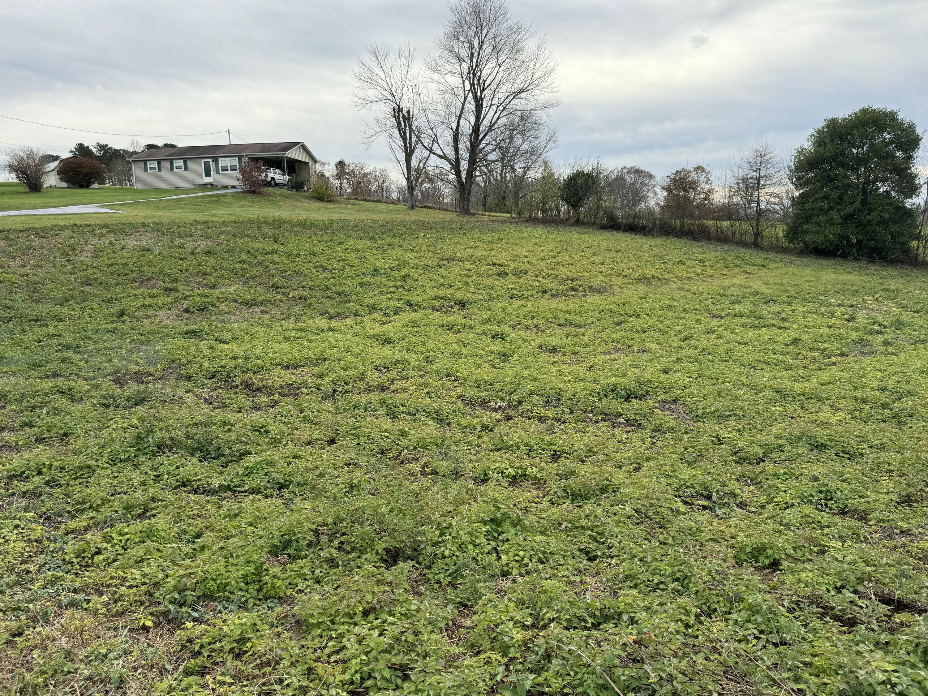 0 Clover Bottom Road Property Photo 1