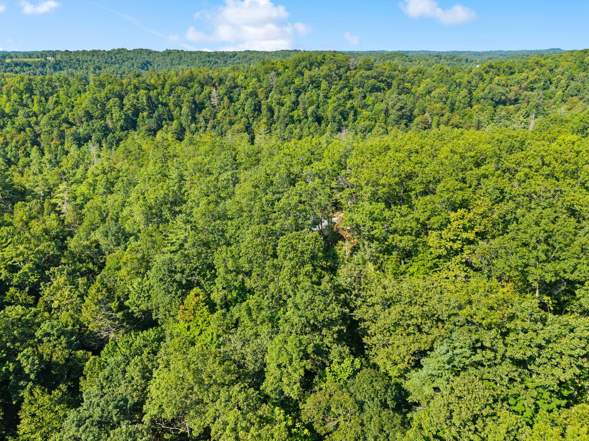 Lot 20 Cliffview Reserve Property Photo 11