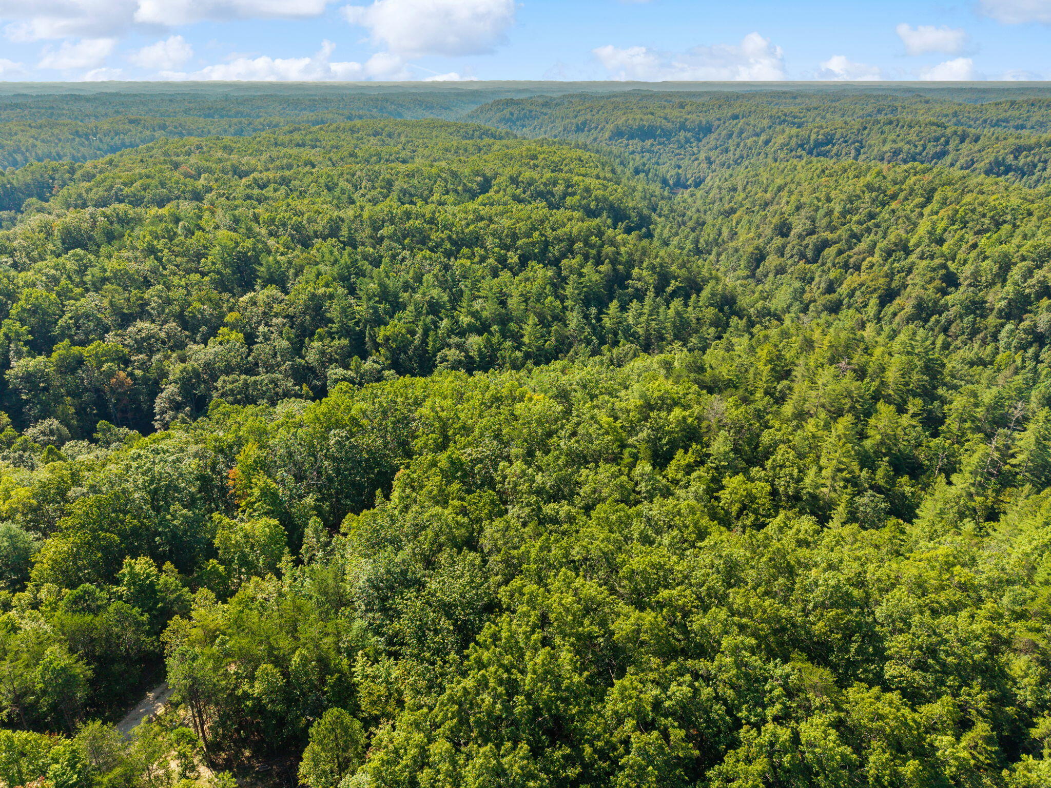 Lot 20 Cliffview Reserve Property Photo 13