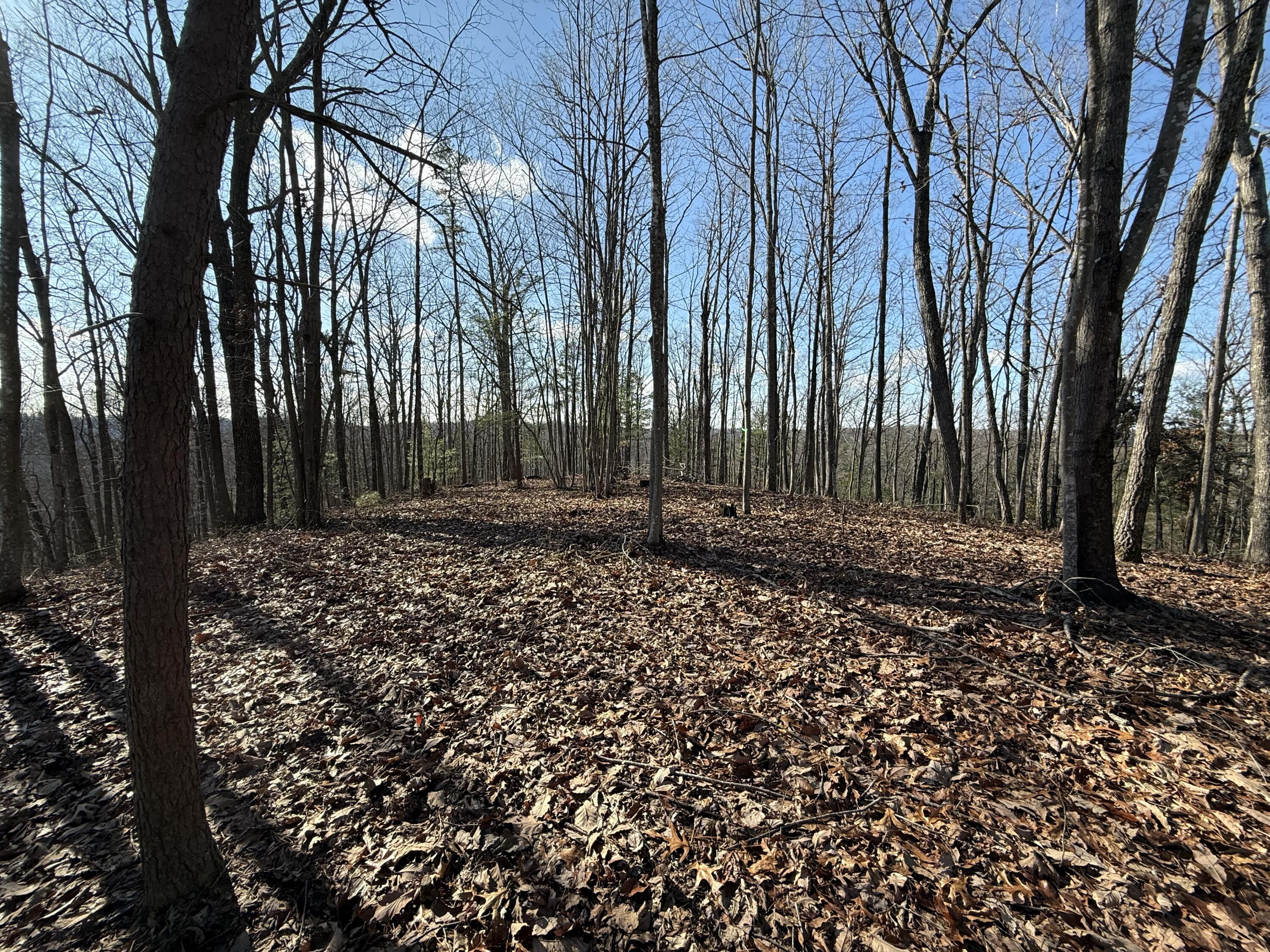 191 The Reserve At Cliffview Property Photo 1