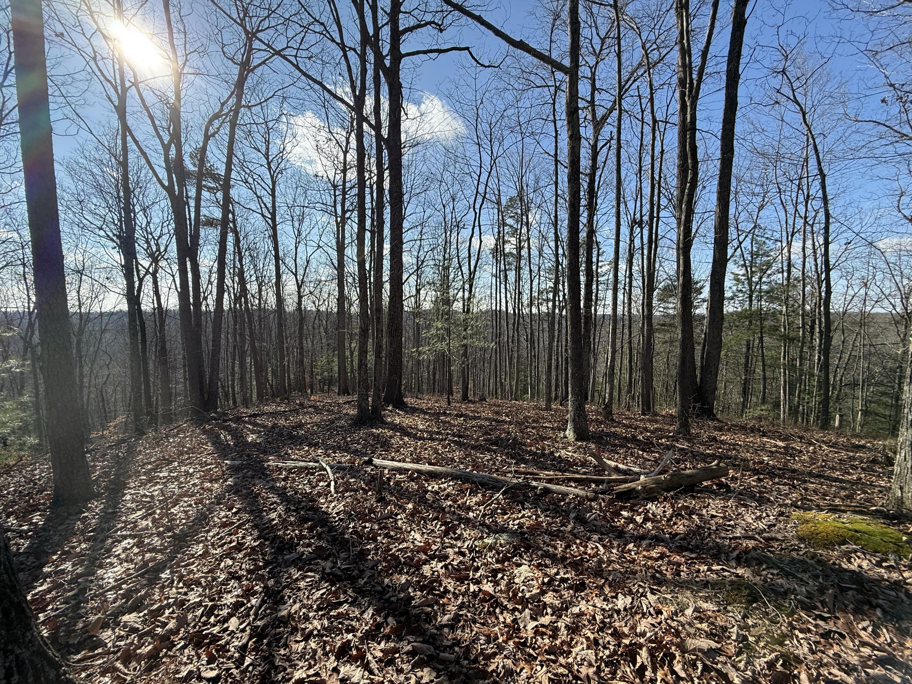 191 The Reserve At Cliffview Property Photo 2