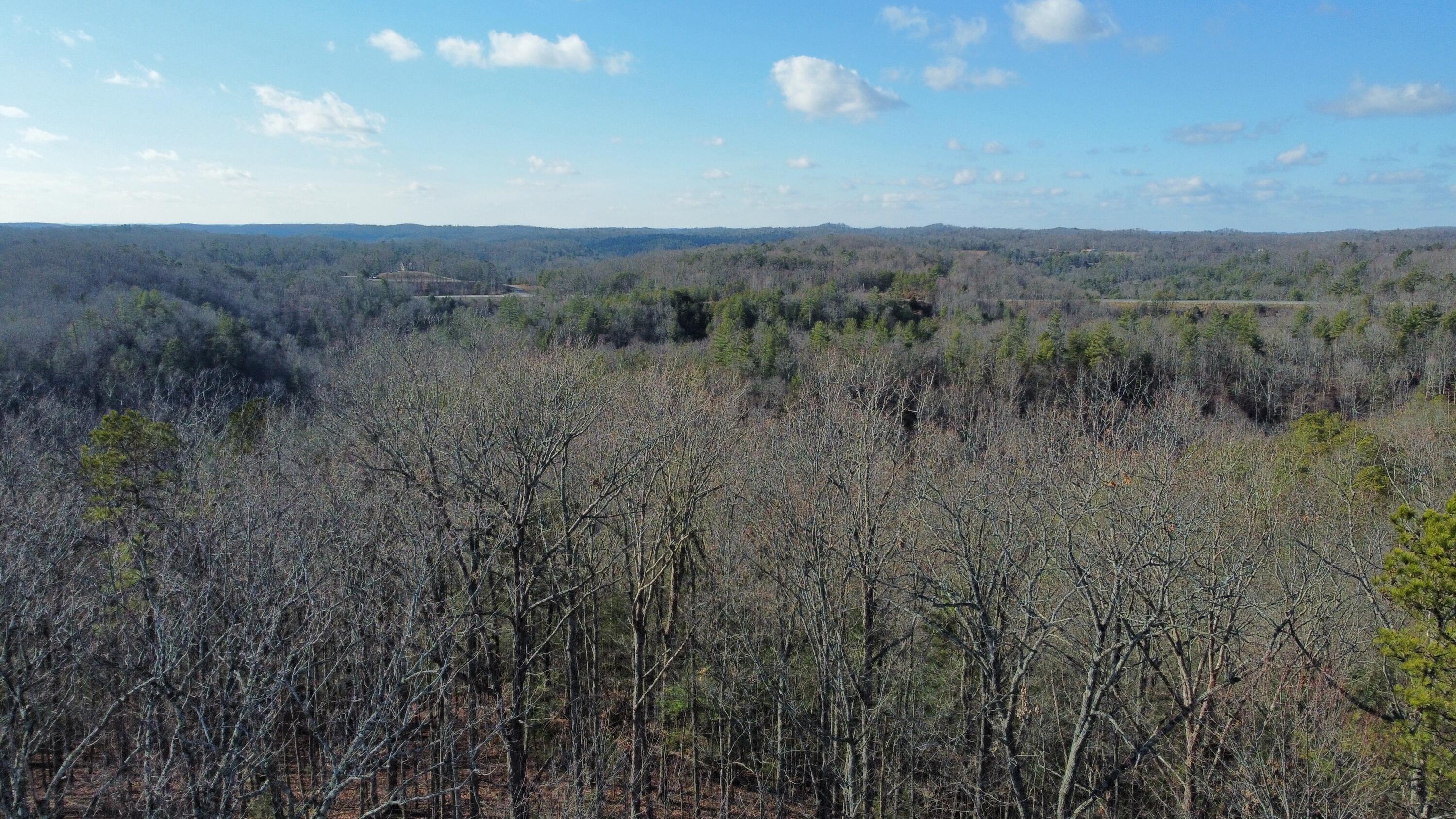 191 The Reserve At Cliffview Property Photo 3