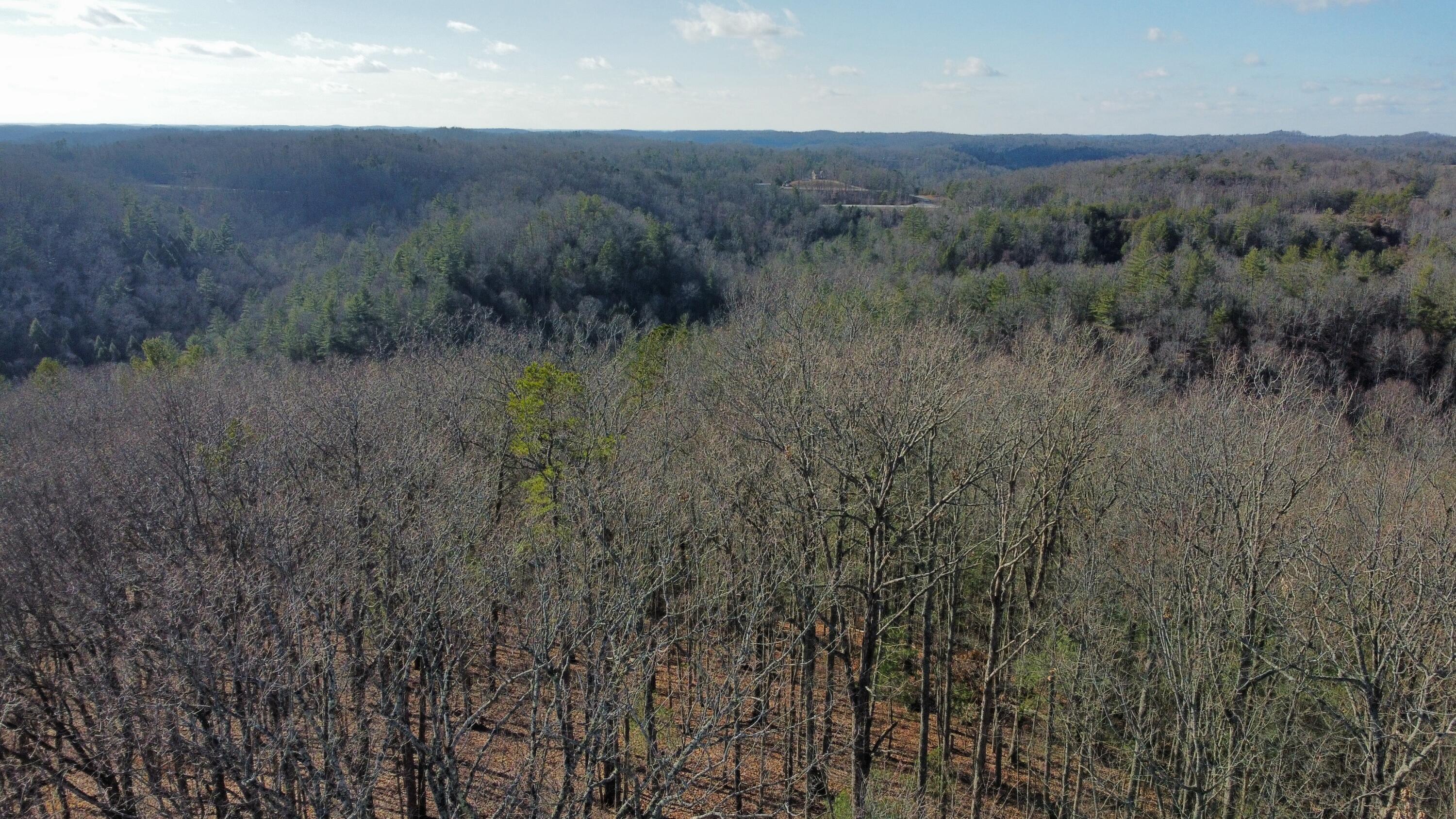 191 The Reserve At Cliffview Property Photo 4