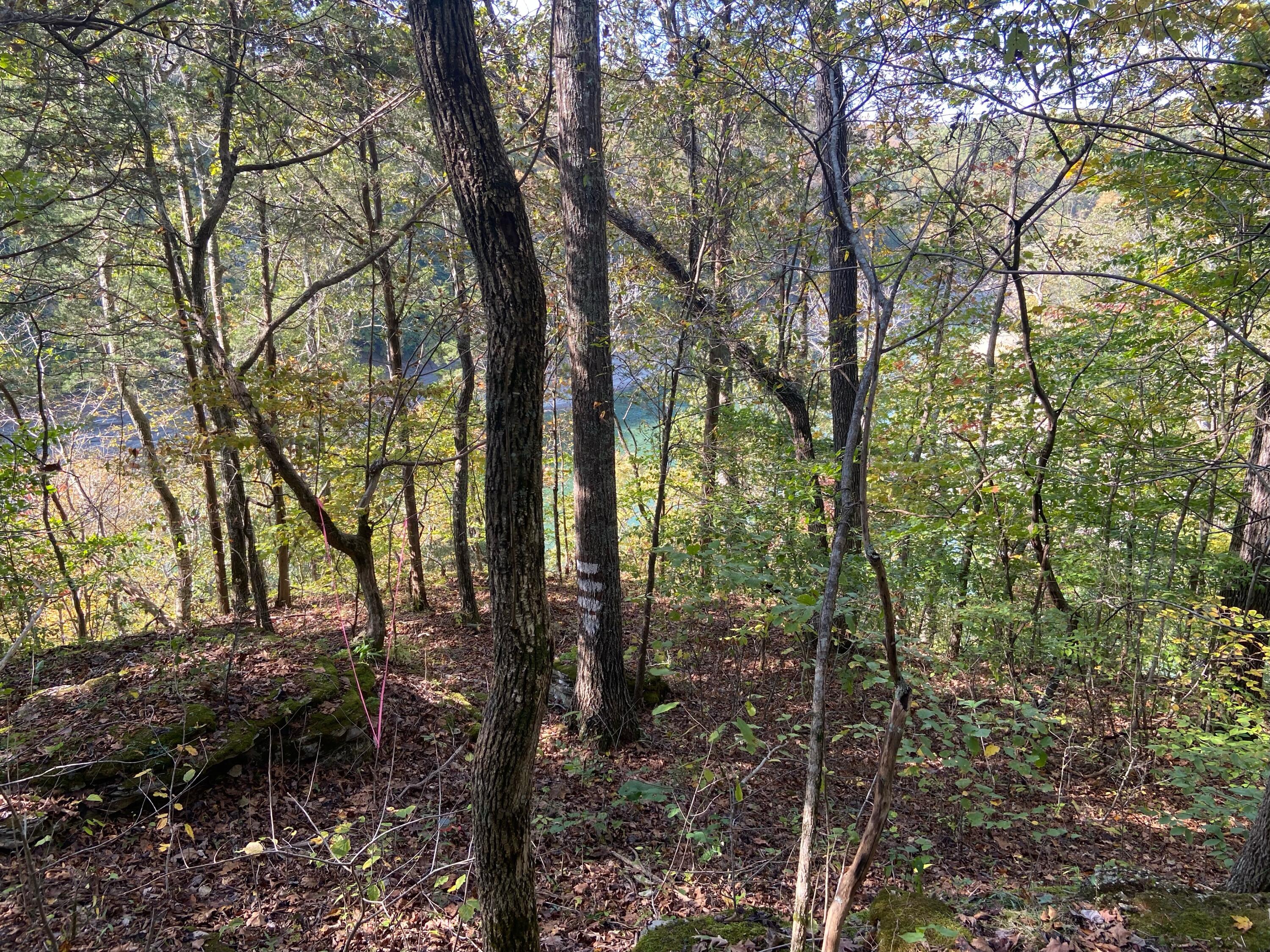4a Cherokee Trail Property Photo 2