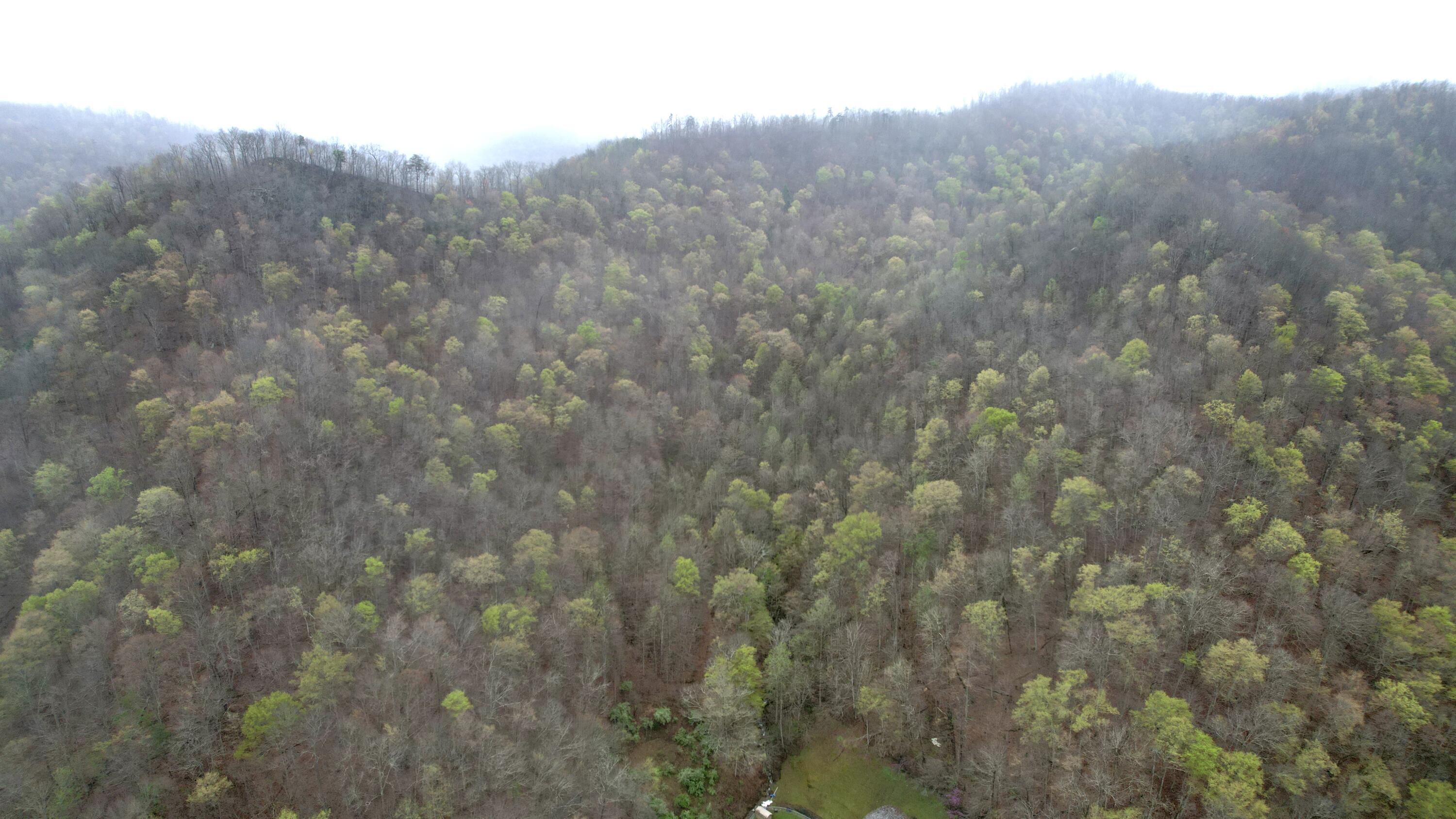 0 Pound Mill Branch Property Photo