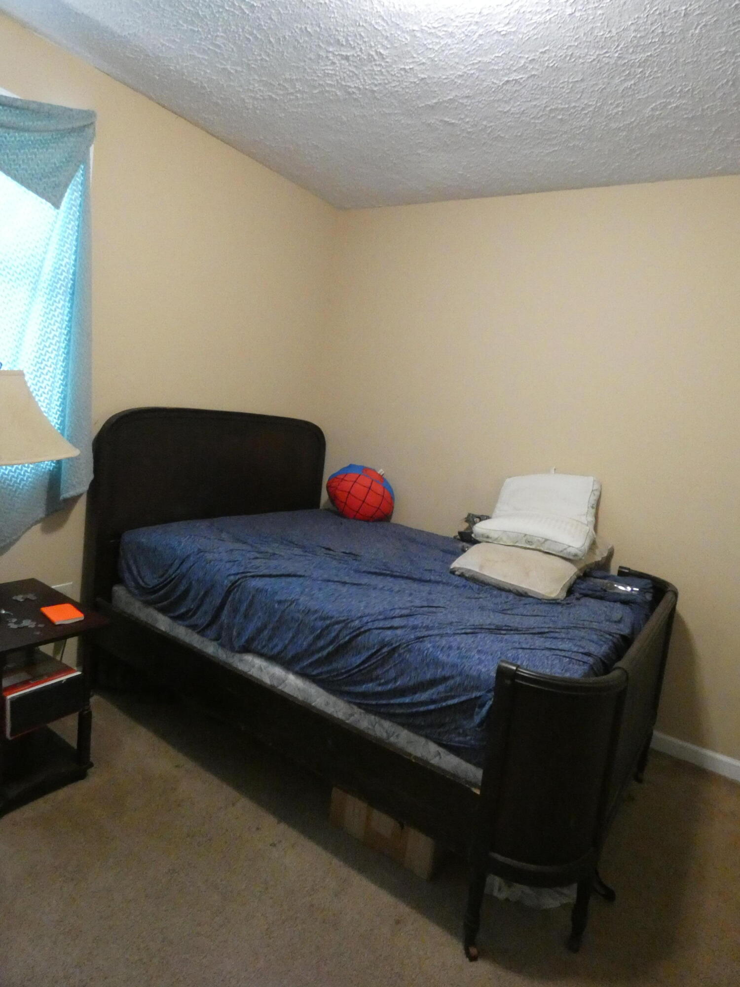 613 Little Hardwicks Creek Road Property Photo 14