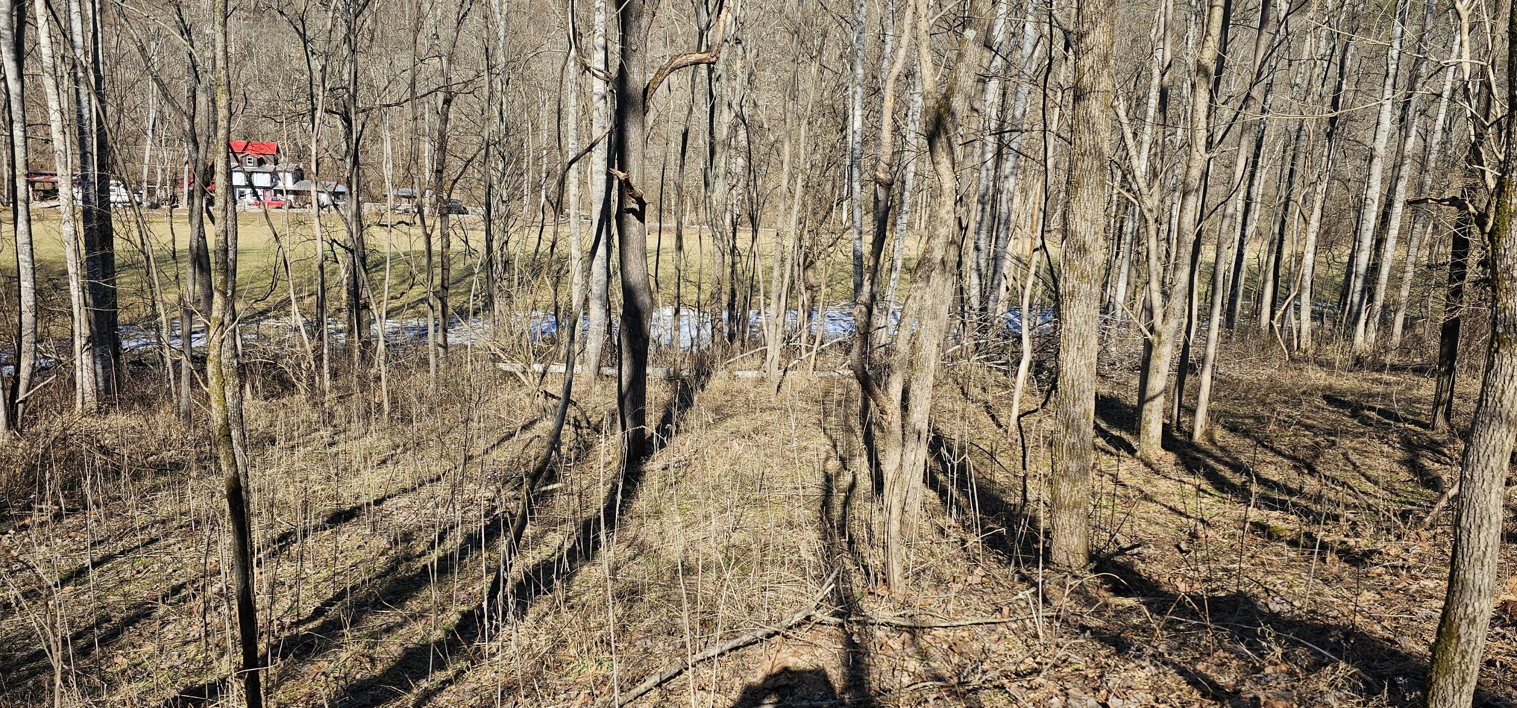1011 Gilberts Creek Road Property Photo 4