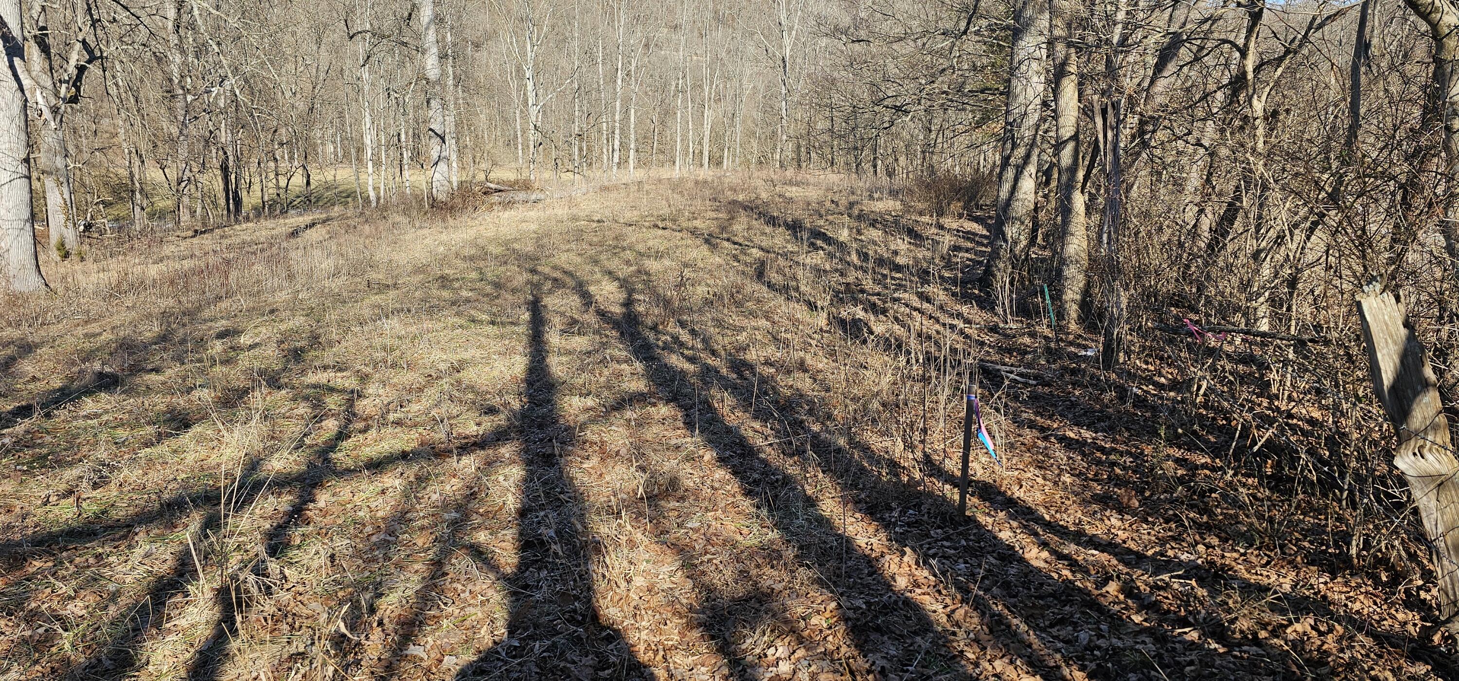 121314 Gilberts Creek Road Property Photo 4