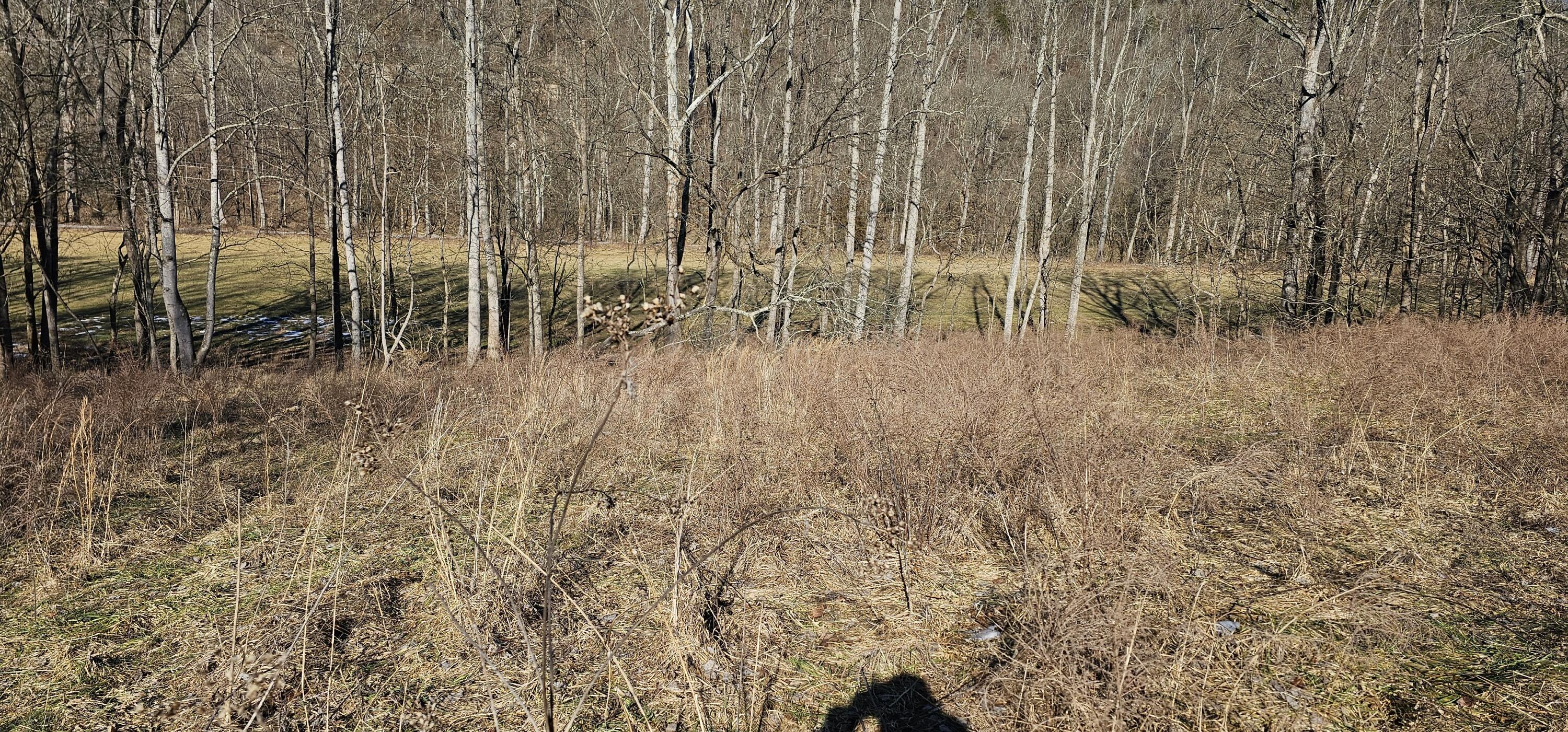 121314 Gilberts Creek Road Property Photo 5