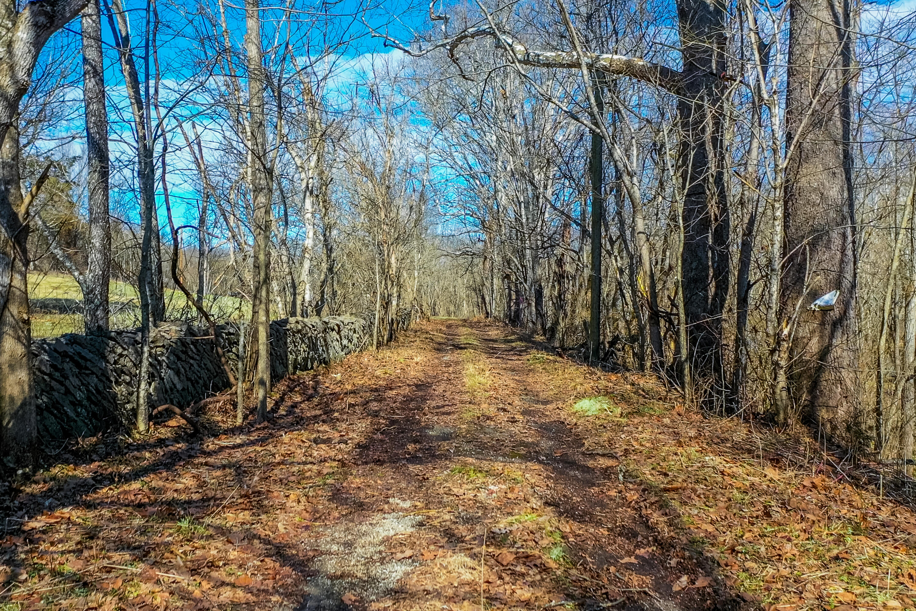 1790 Glensboro Road Property Photo 1