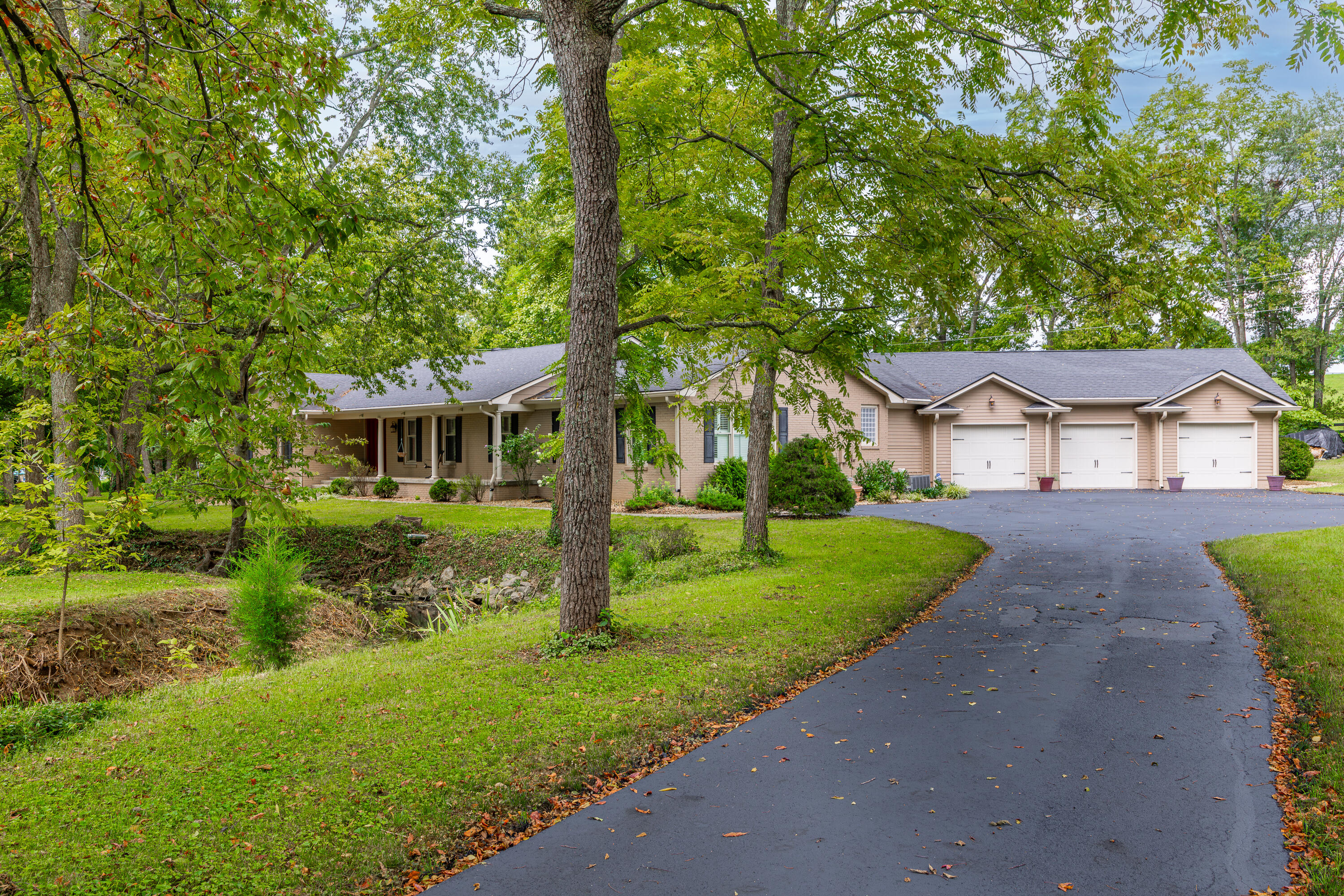 113 Paddock Drive Property Photo 1