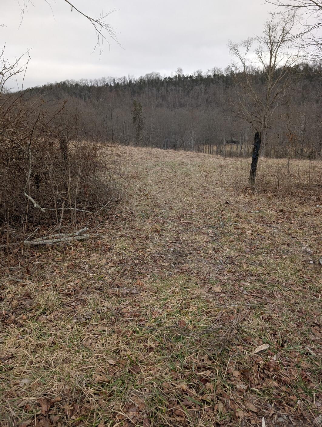 2654 Short Road Property Photo 3