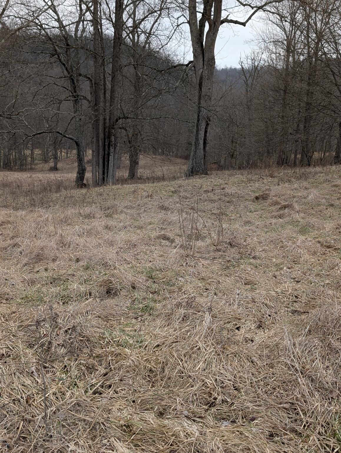 2654 Short Road Property Photo 5